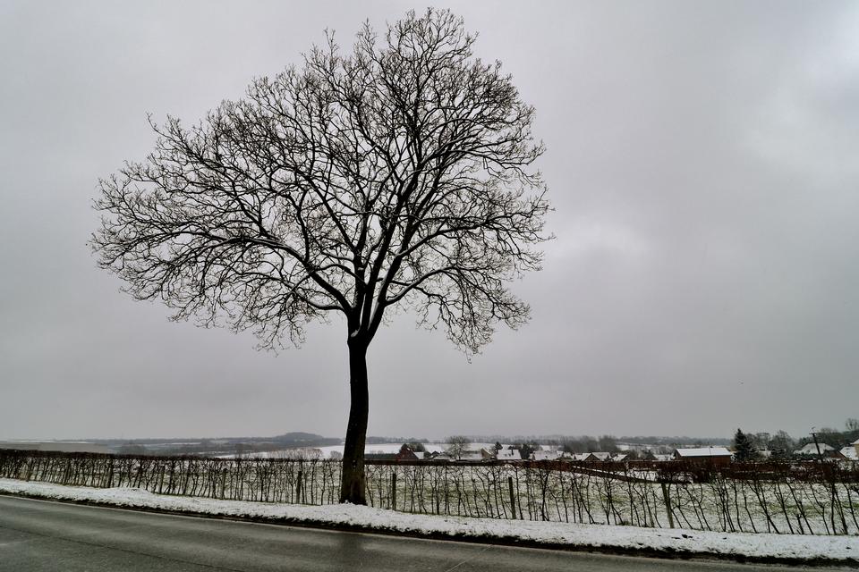 Free download high resolution image - free image free photo free stock image public domain picture  winter snow road place