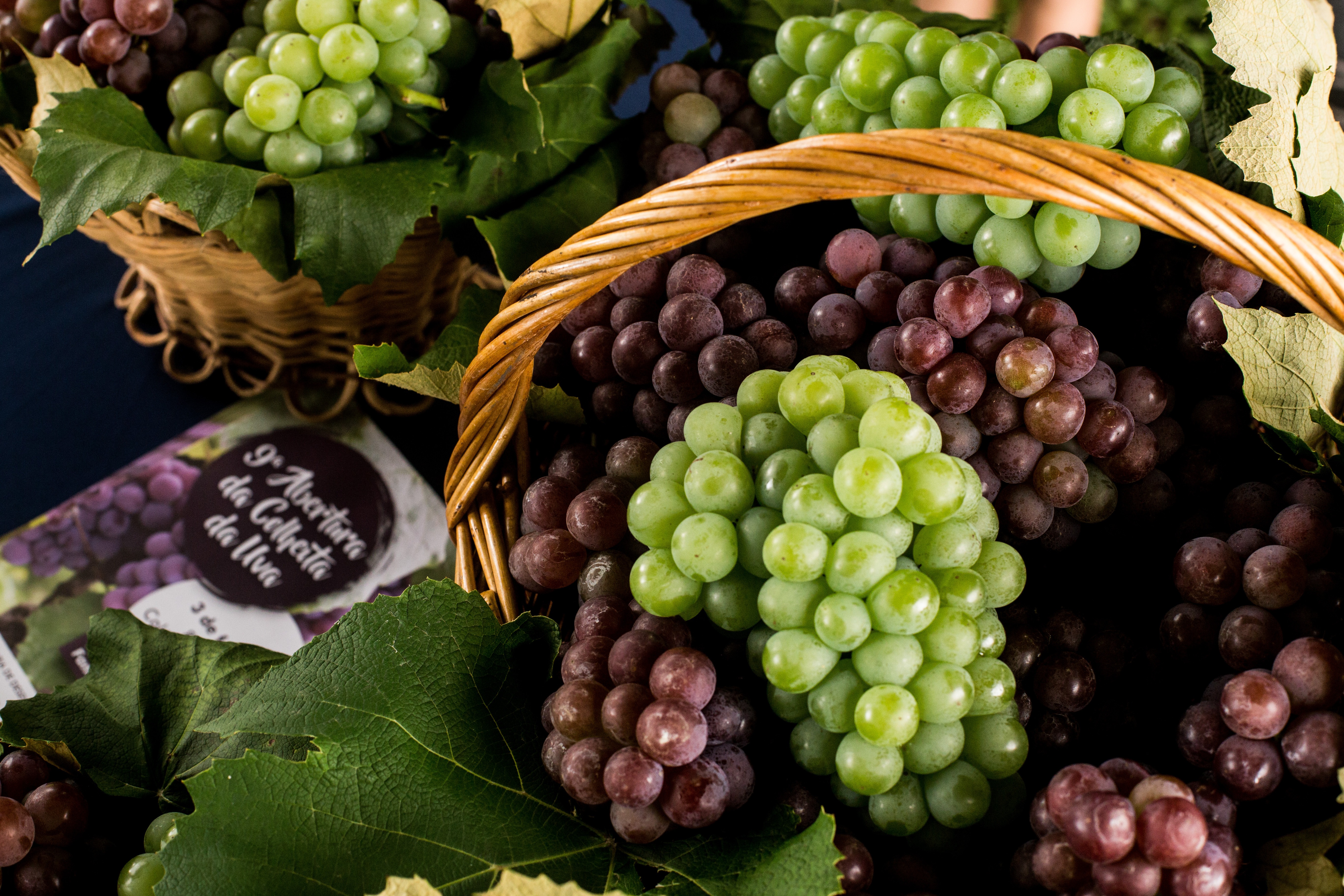 Free download high resolution image - free image free photo free stock image public domain picture -Organic Raw Red Grapes in a Basket