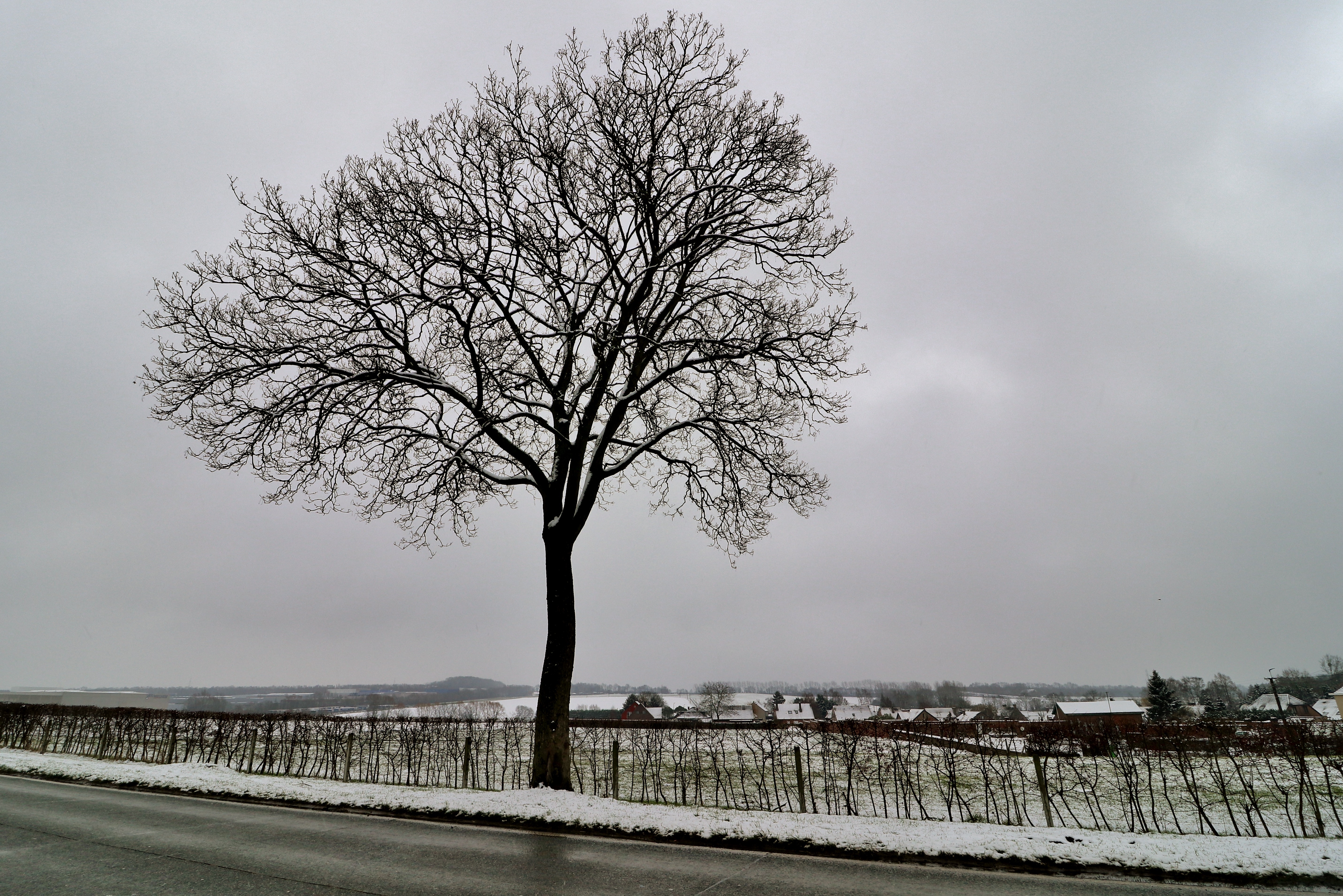 Free download high resolution image - free image free photo free stock image public domain picture -winter snow road place