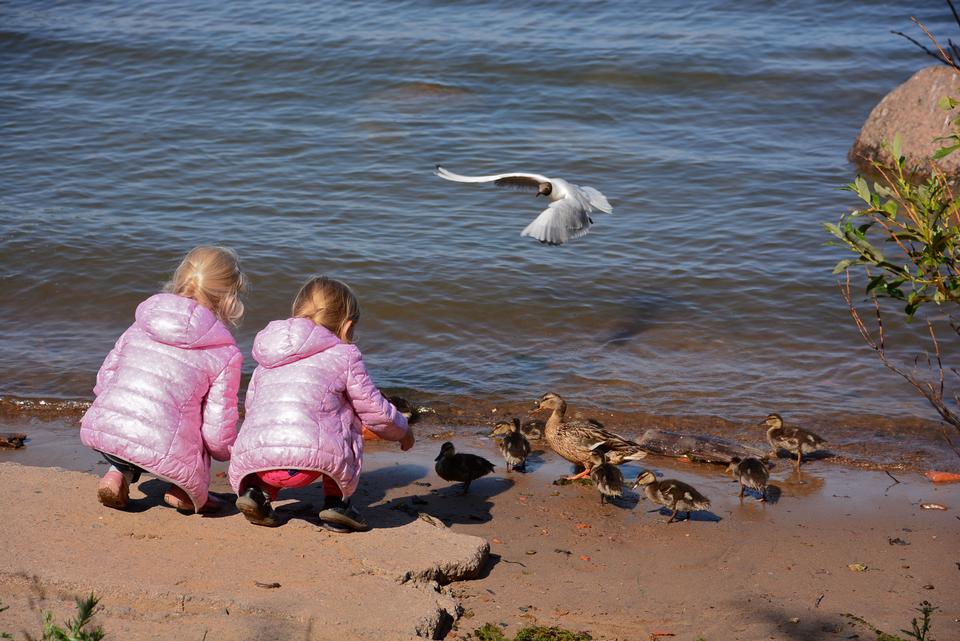 Free download high resolution image - free image free photo free stock image public domain picture  boy and girl in  Moyka river, St Petersburg, Russia