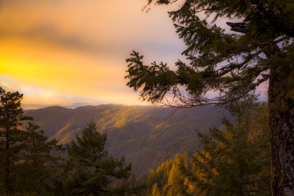 Free download high resolution image - free image free photo free stock image public domain picture  Lacks Creek watershed northwest of Arcata, Calif