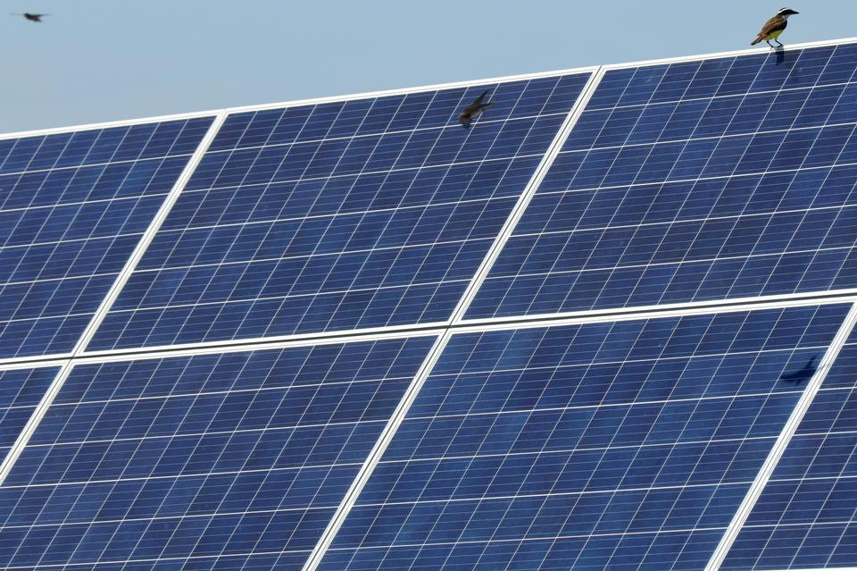 Free download high resolution image - free image free photo free stock image public domain picture  Solar panel, photovoltaic, alternative electricity source