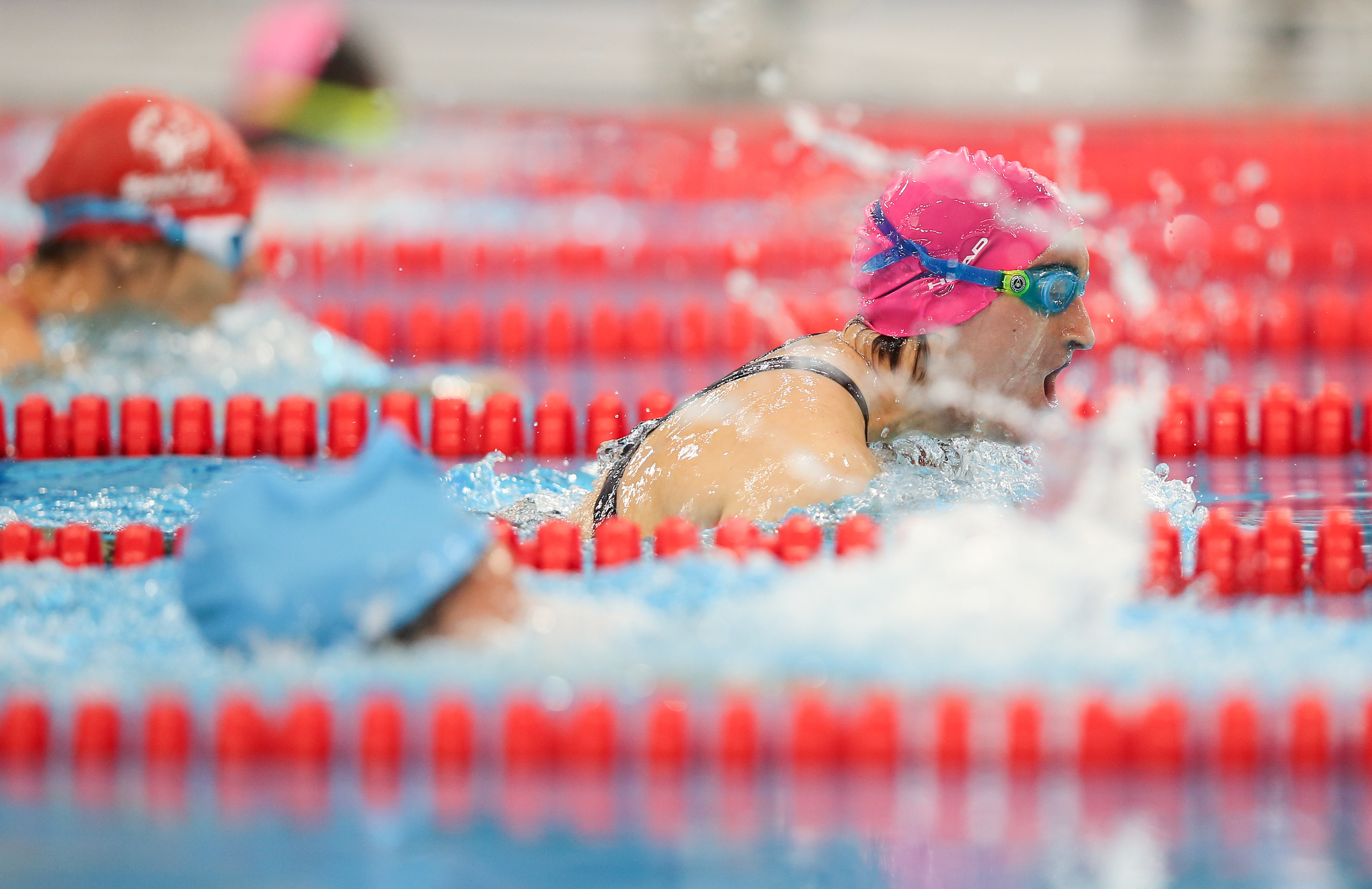 Free download high resolution image - free image free photo free stock image public domain picture -World Summer Games 2019, swimming