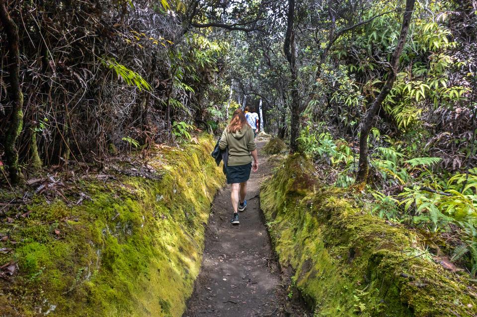 Free download high resolution image - free image free photo free stock image public domain picture  Hawaii Volcanoes National Park