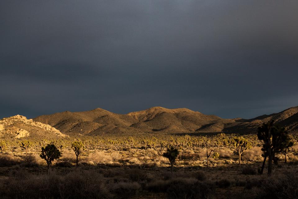 Free download high resolution image - free image free photo free stock image public domain picture  Boulders and Joshua Trees in Joshua Tree National Park