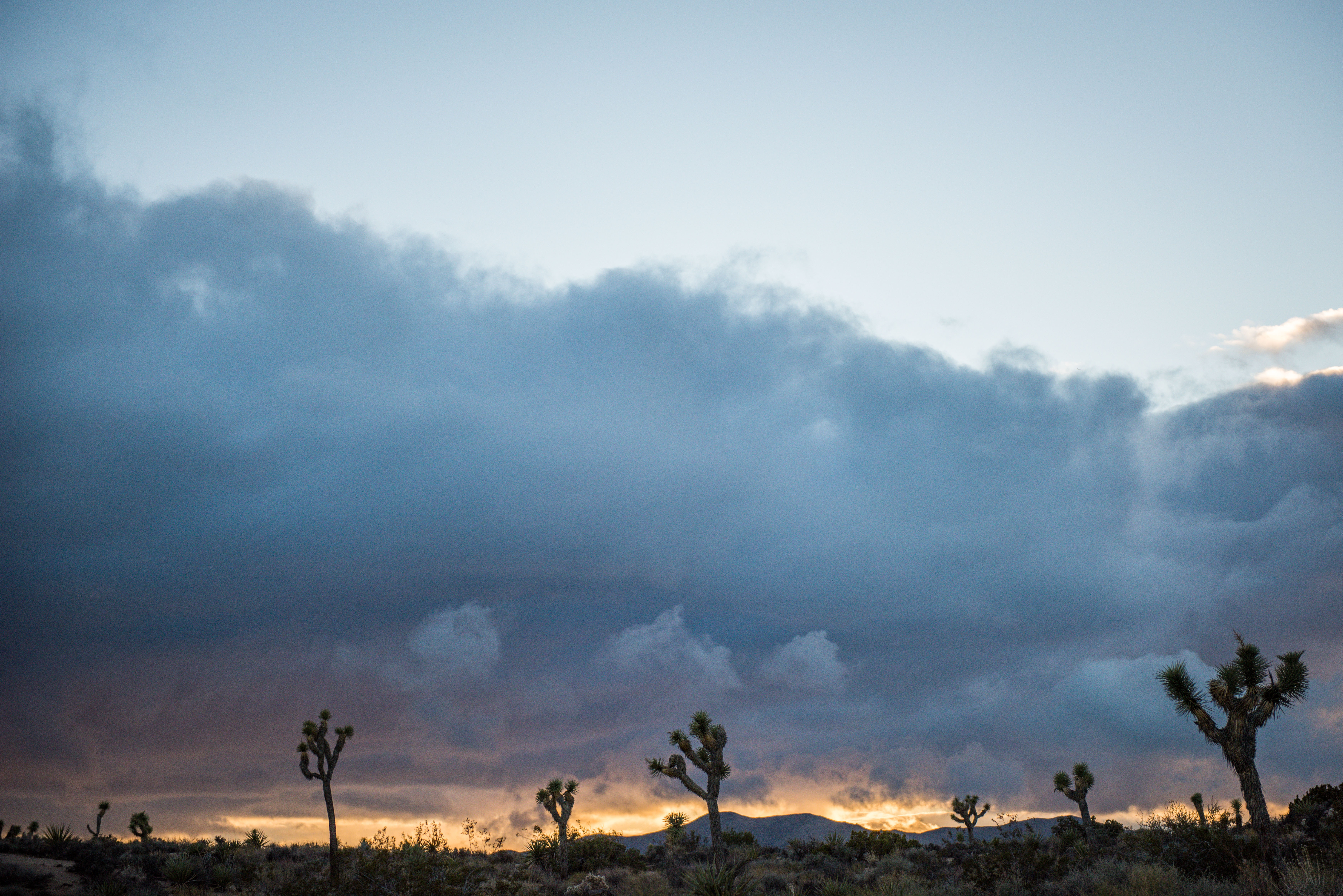 Free download high resolution image - free image free photo free stock image public domain picture -Boulders and Joshua Trees in Joshua Tree National Park