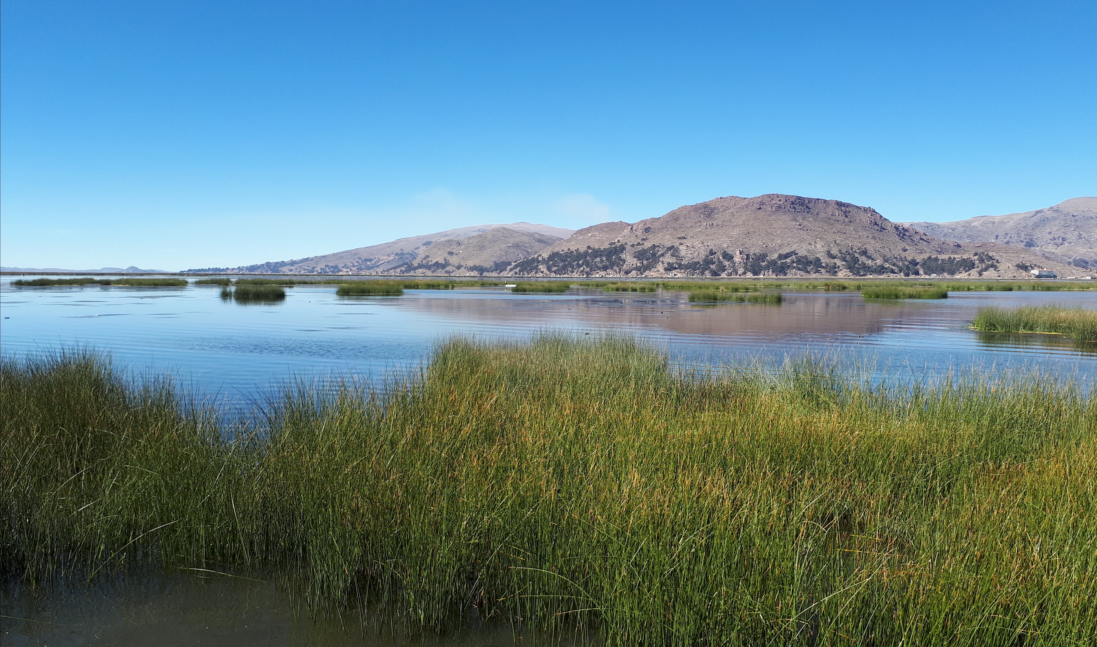 Free download high resolution image - free image free photo free stock image public domain picture -Uros island in Lake Titicaca, Peru