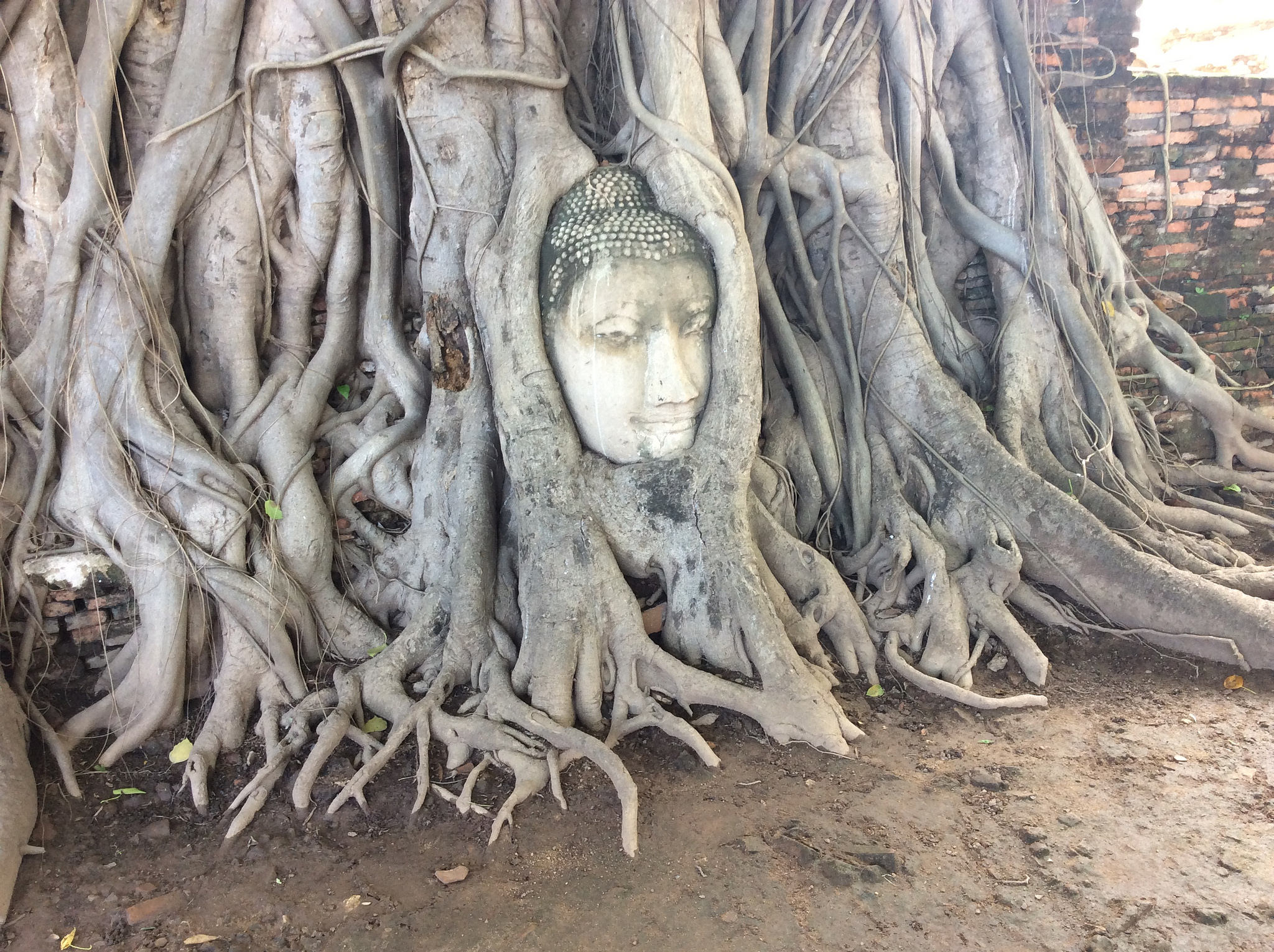 Free download high resolution image - free image free photo free stock image public domain picture -Ayutthaya Historical Park in Thailand