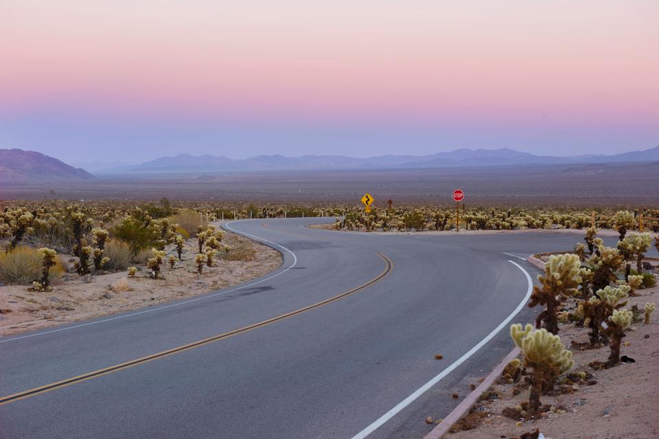 Free download high resolution image - free image free photo free stock image public domain picture  Sunset at Cholla Cactus Garden