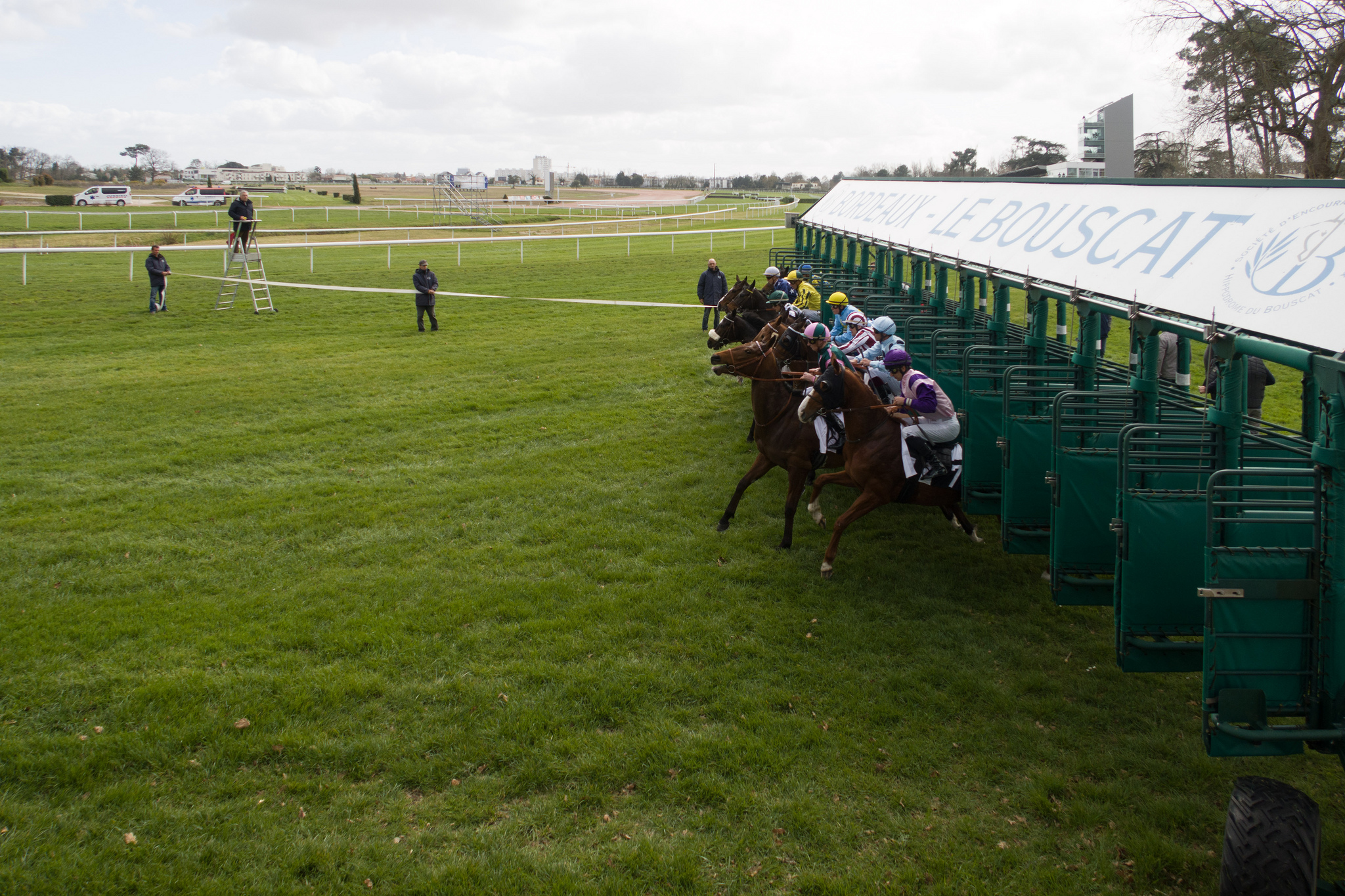 Free download high resolution image - free image free photo free stock image public domain picture -galloping race horses in racing competition