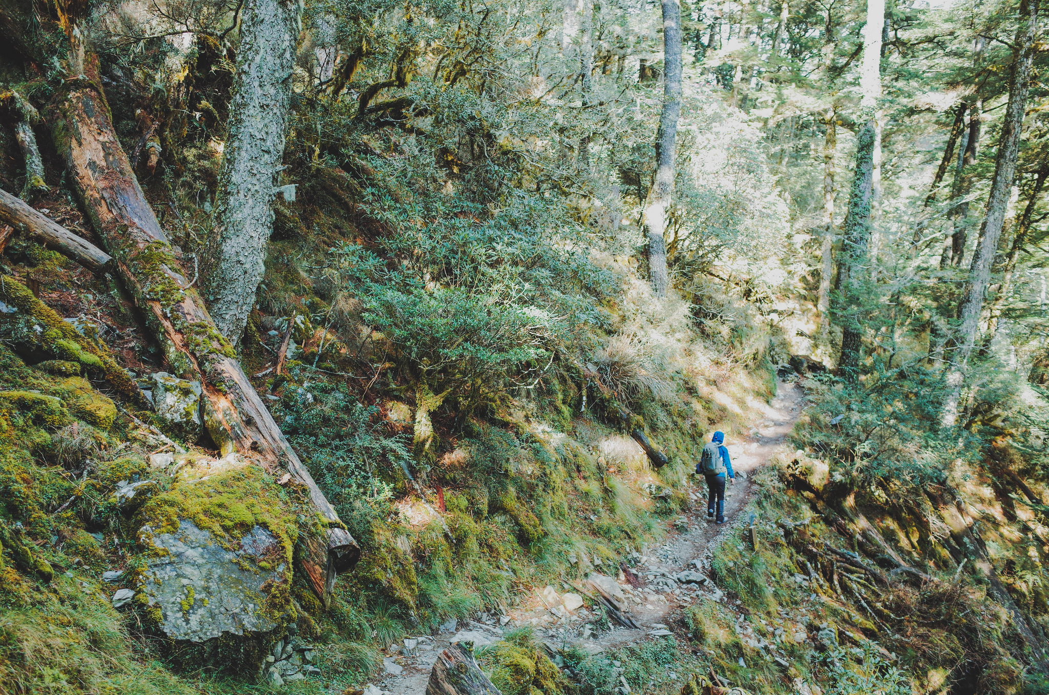 Free download high resolution image - free image free photo free stock image public domain picture -Garding Lake Trail