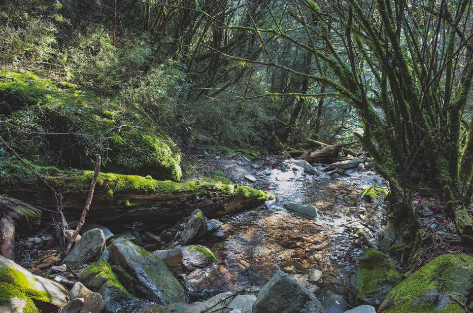 Free download high resolution image - free image free photo free stock image public domain picture  Garding Lake Trail