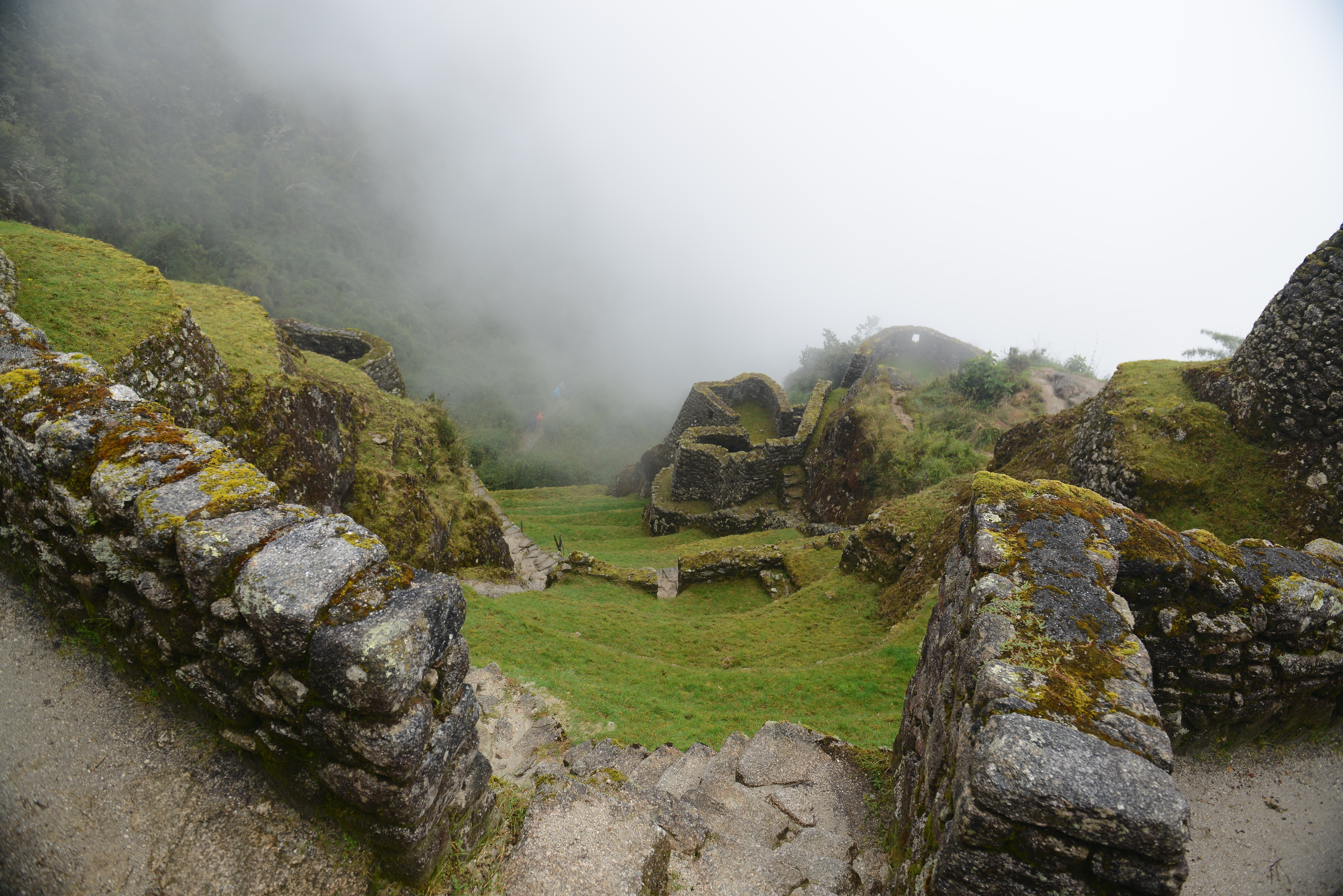 Free download high resolution image - free image free photo free stock image public domain picture -Ancient ruins of Winay Wayna on the Inca Trail, Peru