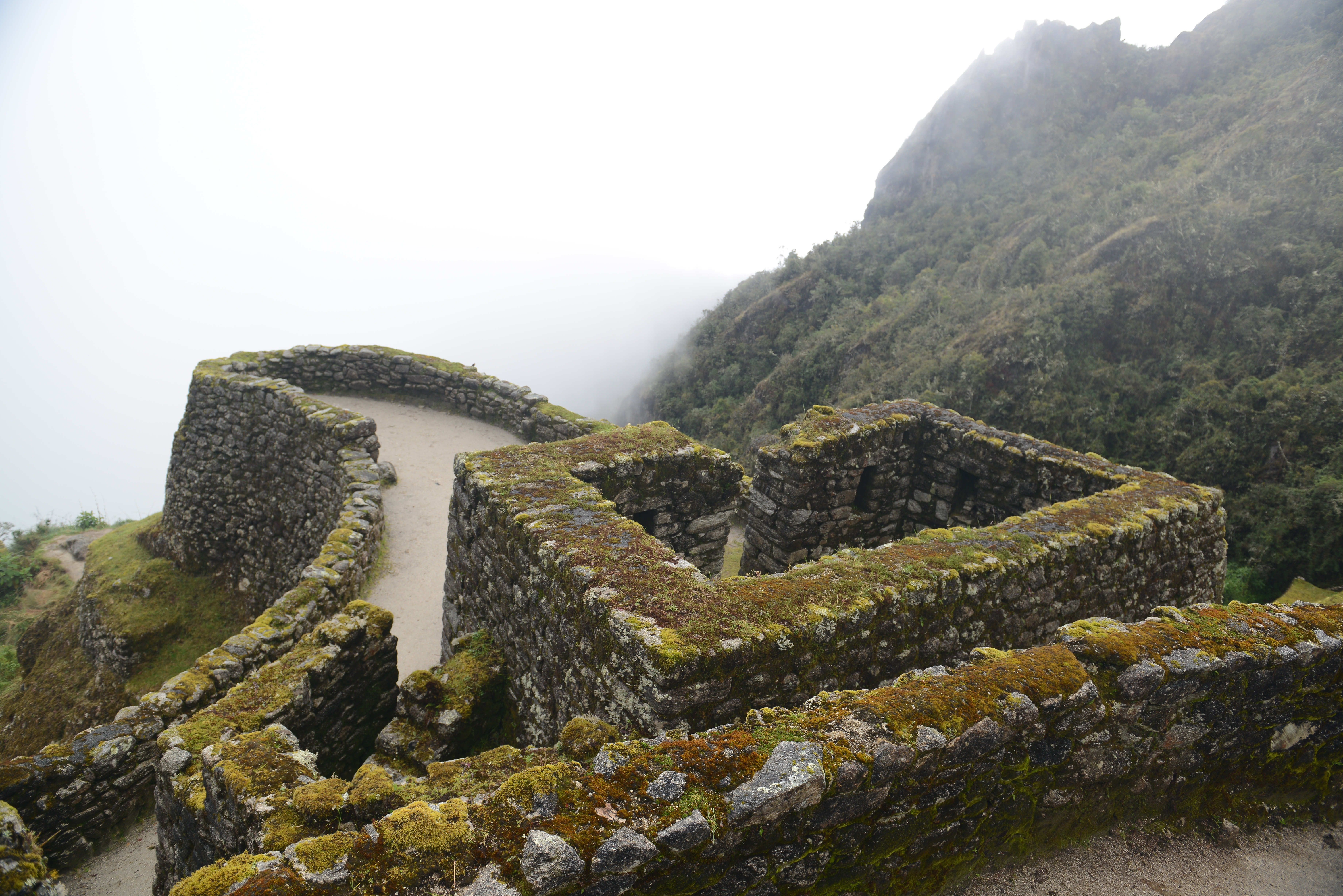 Free download high resolution image - free image free photo free stock image public domain picture -Ancient ruins of Winay Wayna on the Inca Trail, Peru