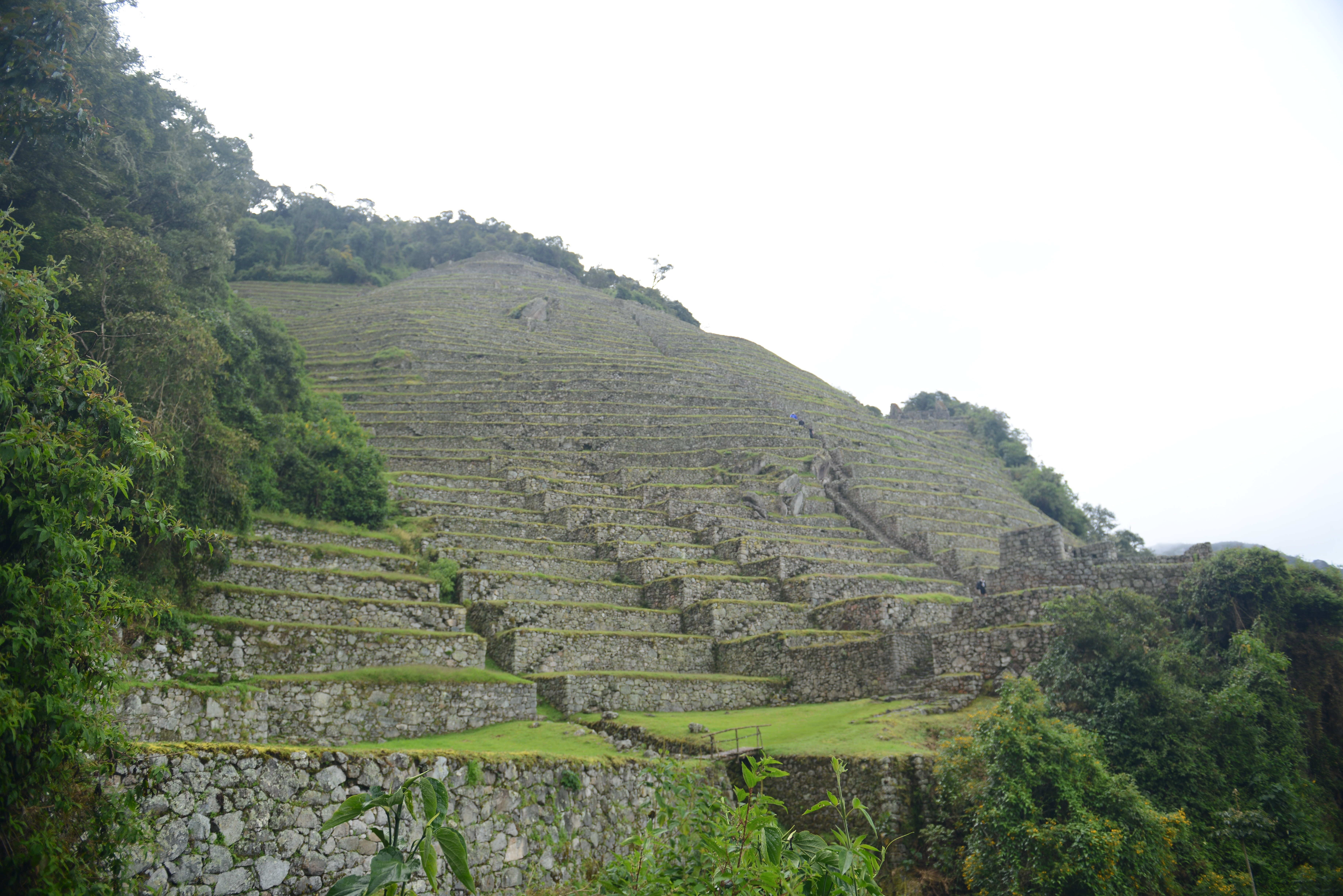 Free download high resolution image - free image free photo free stock image public domain picture -Ancient ruins of Winay Wayna on the Inca Trail, Peru