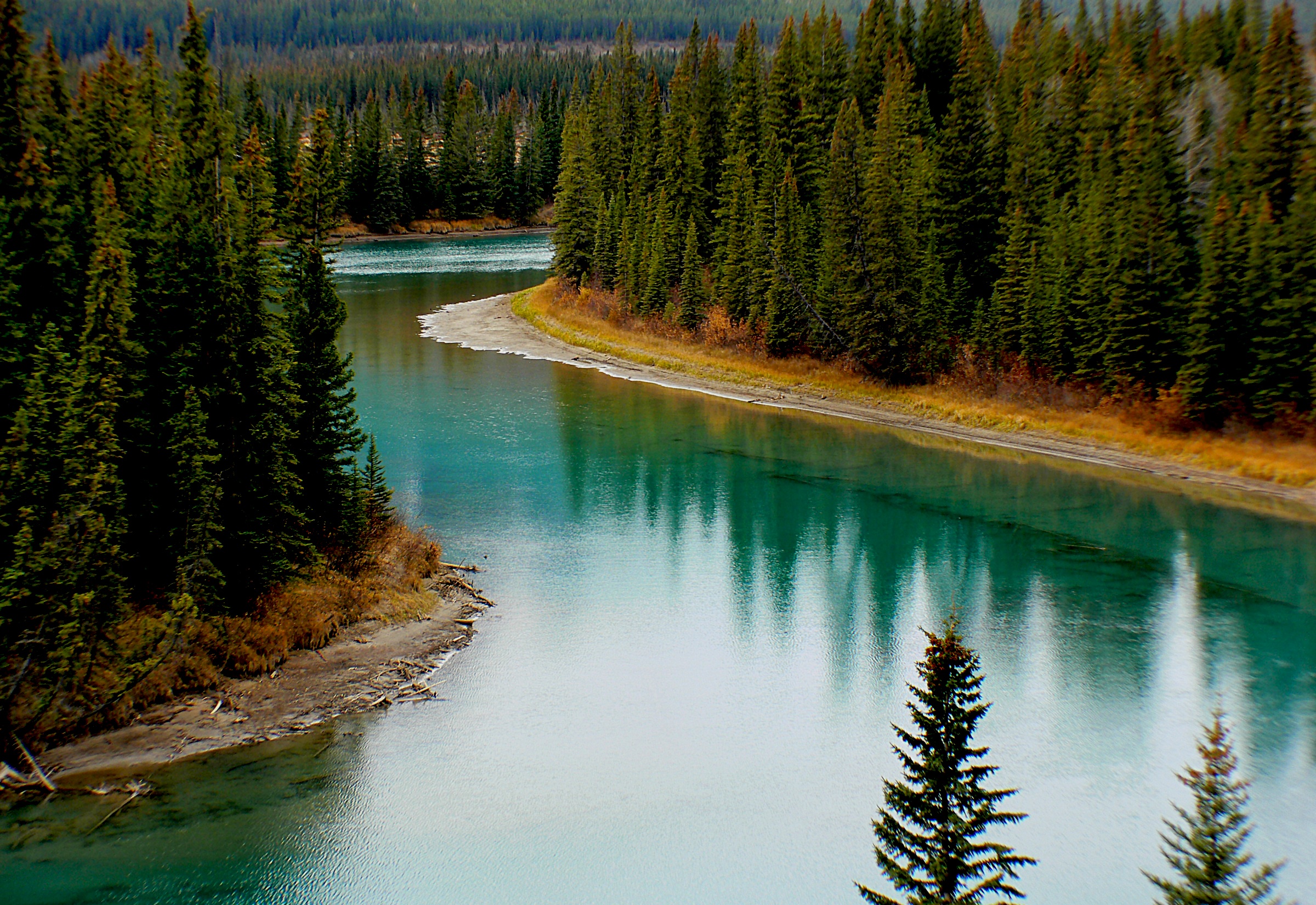 Free download high resolution image - free image free photo free stock image public domain picture -Bow River Banff National Park