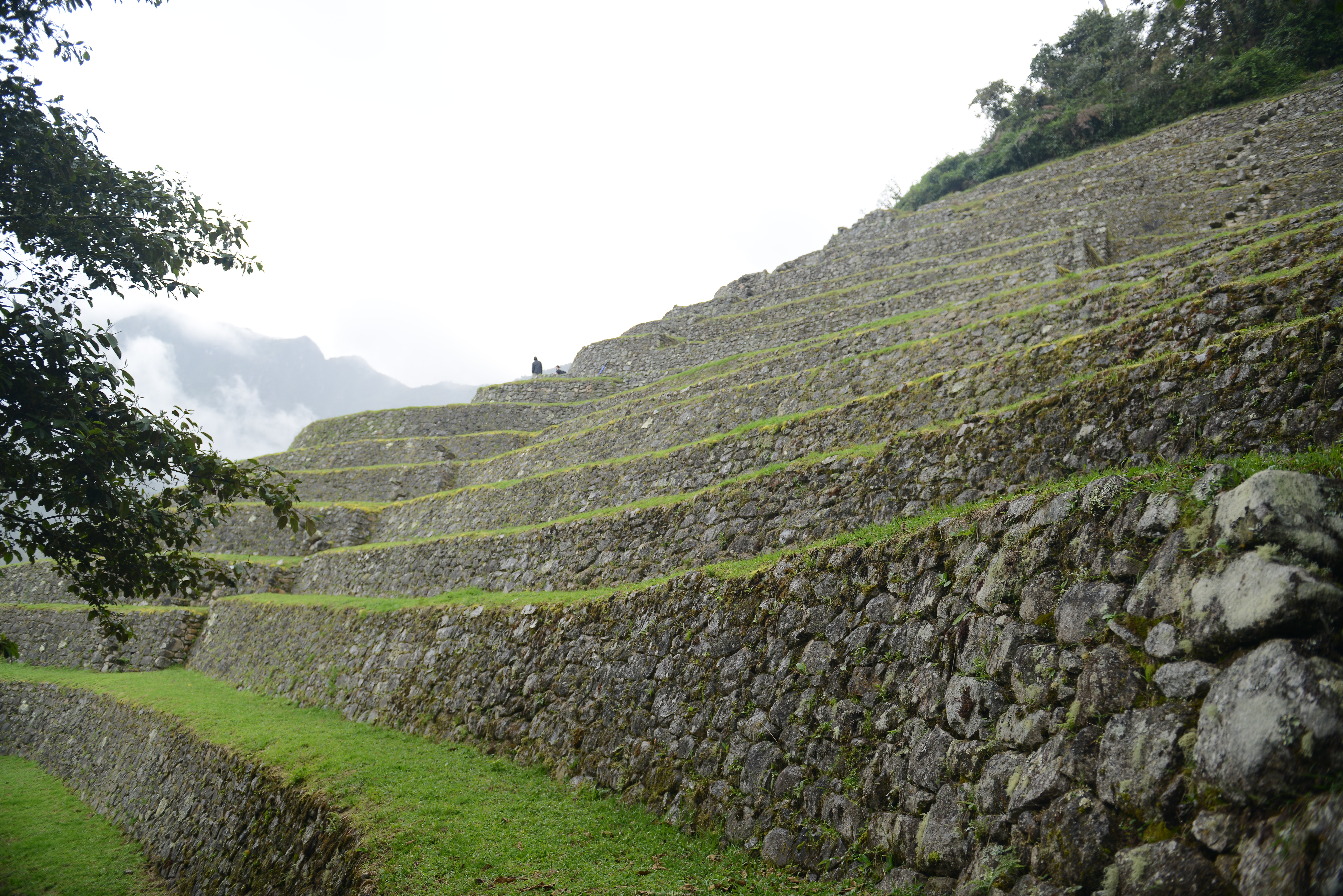 Free download high resolution image - free image free photo free stock image public domain picture -Ancient ruins of Winay Wayna on the Inca Trail, Peru