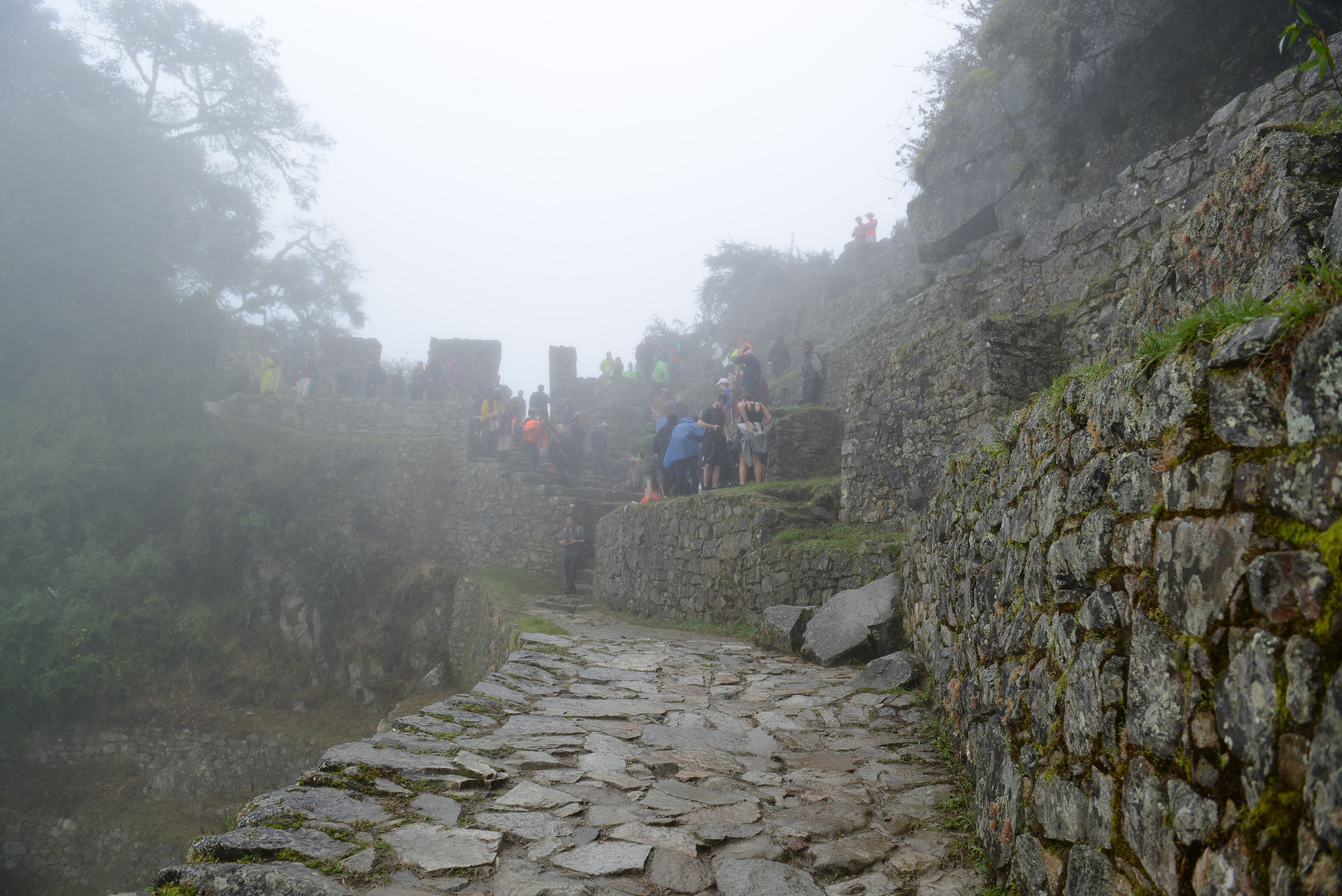 Free download high resolution image - free image free photo free stock image public domain picture -Tourists hiking the Inca Classic Trail in Peru