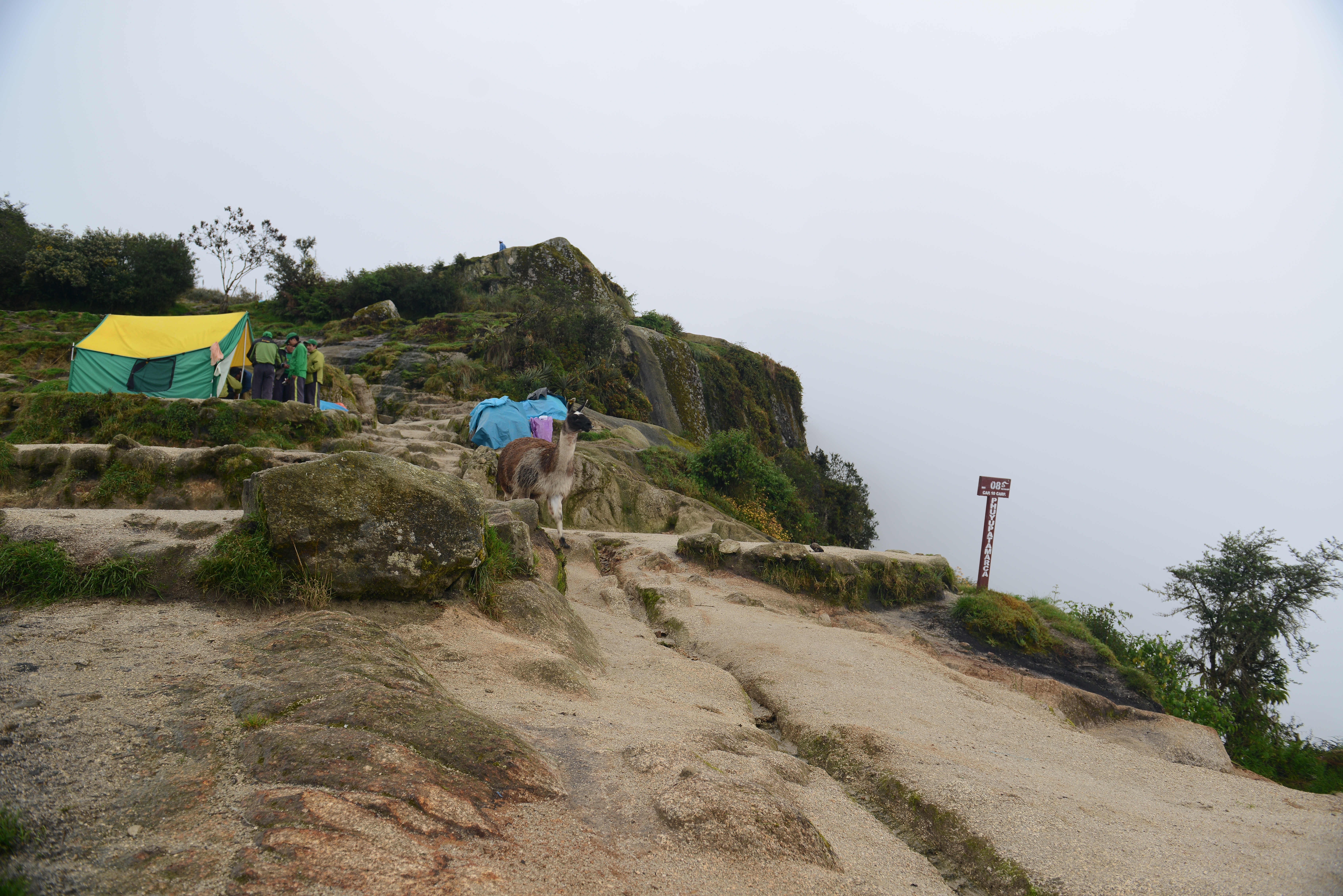 Free download high resolution image - free image free photo free stock image public domain picture -Tourists hiking the Inca Classic Trail in Peru