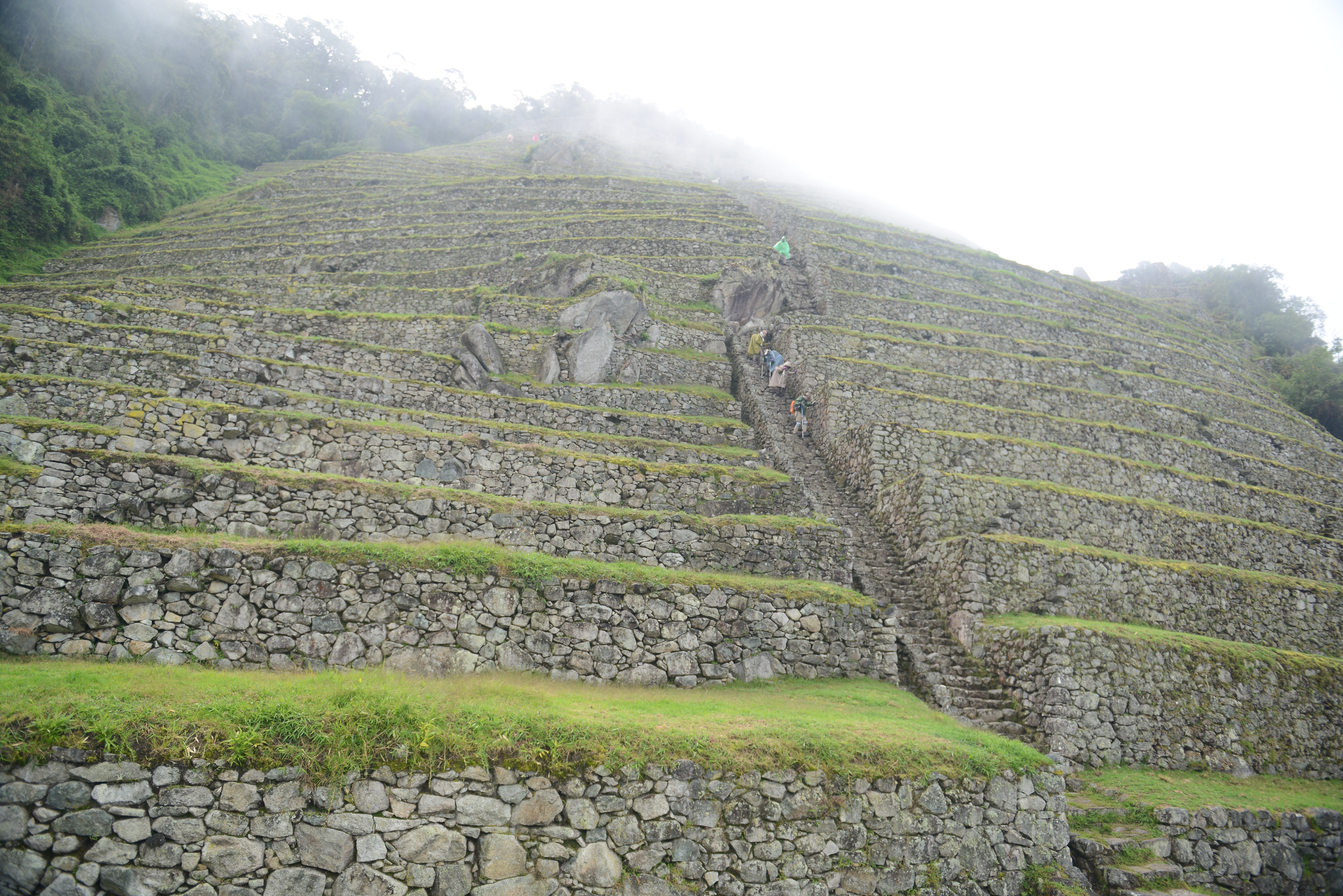 Free download high resolution image - free image free photo free stock image public domain picture -Ancient ruins of Winay Wayna on the Inca Trail, Peru