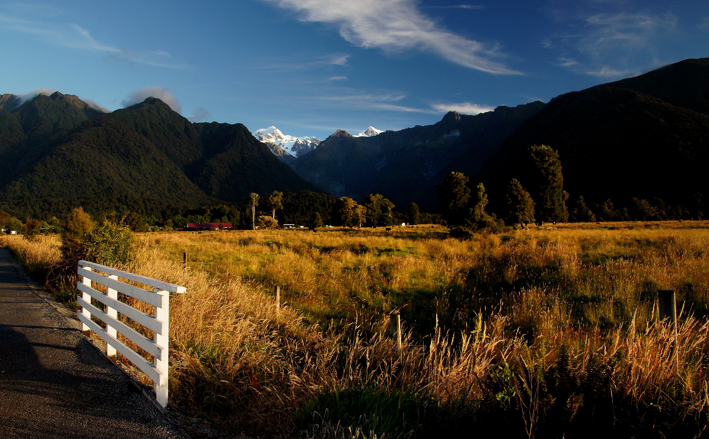 Free download high resolution image - free image free photo free stock image public domain picture -Westland National Park