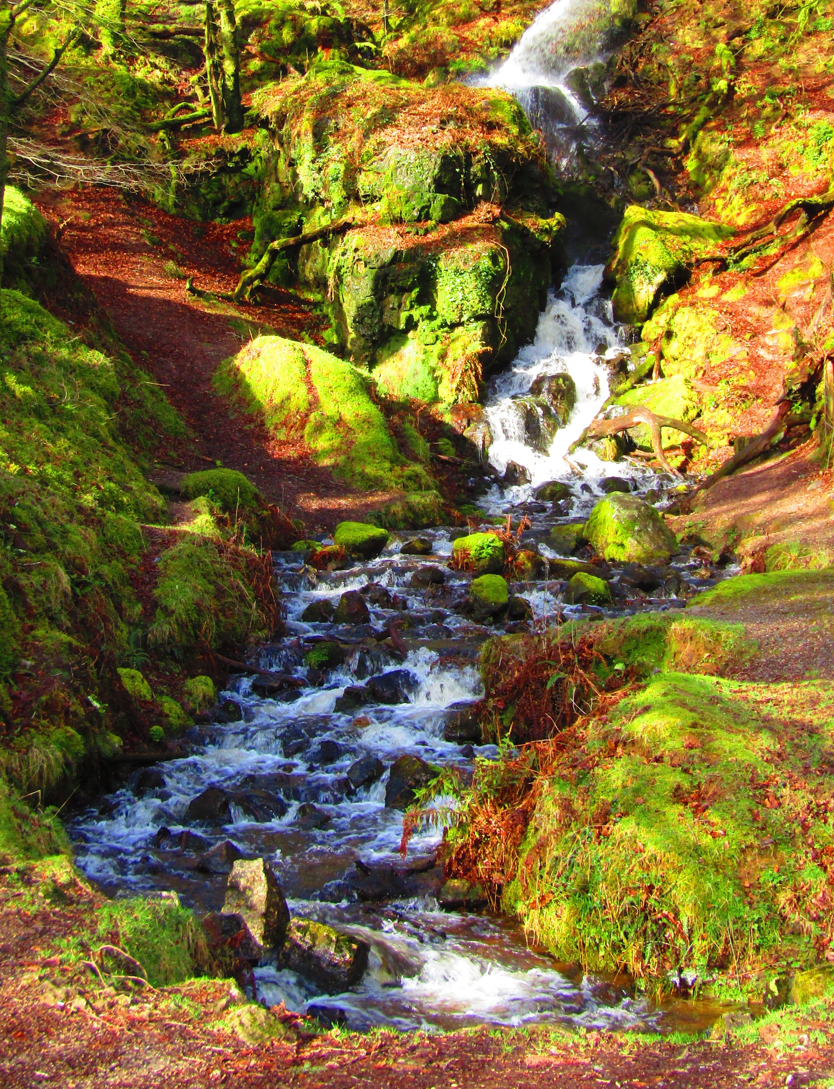 Free download high resolution image - free image free photo free stock image public domain picture -Burrator Reservoir, Dartmoor National Park