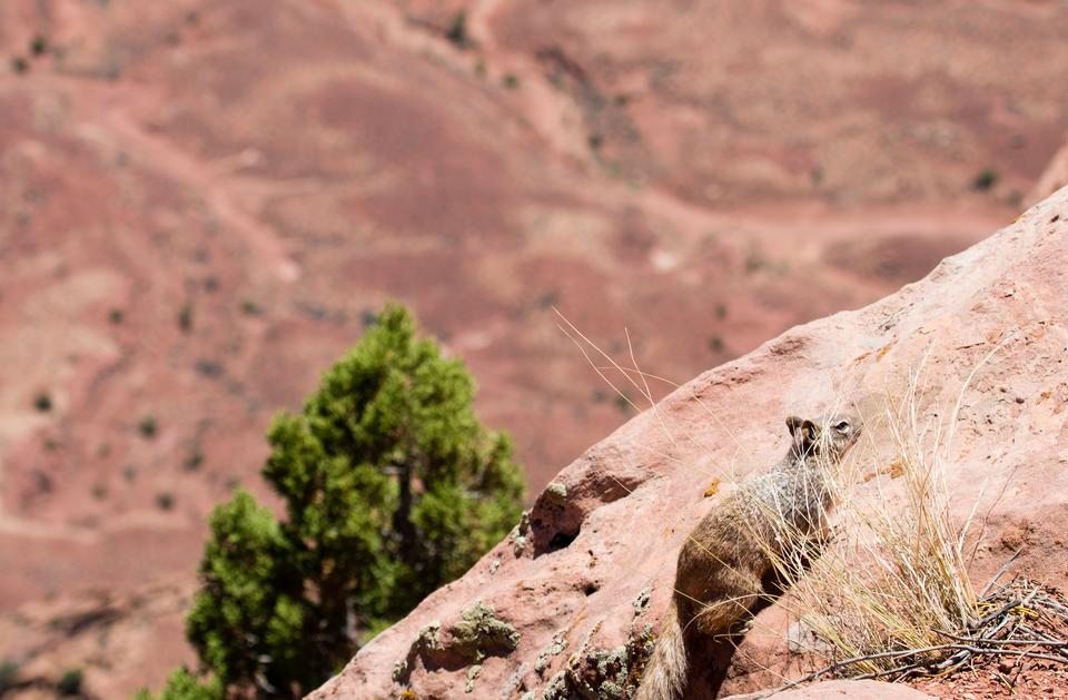 Free download high resolution image - free image free photo free stock image public domain picture  Canyonlands National Park, Utah