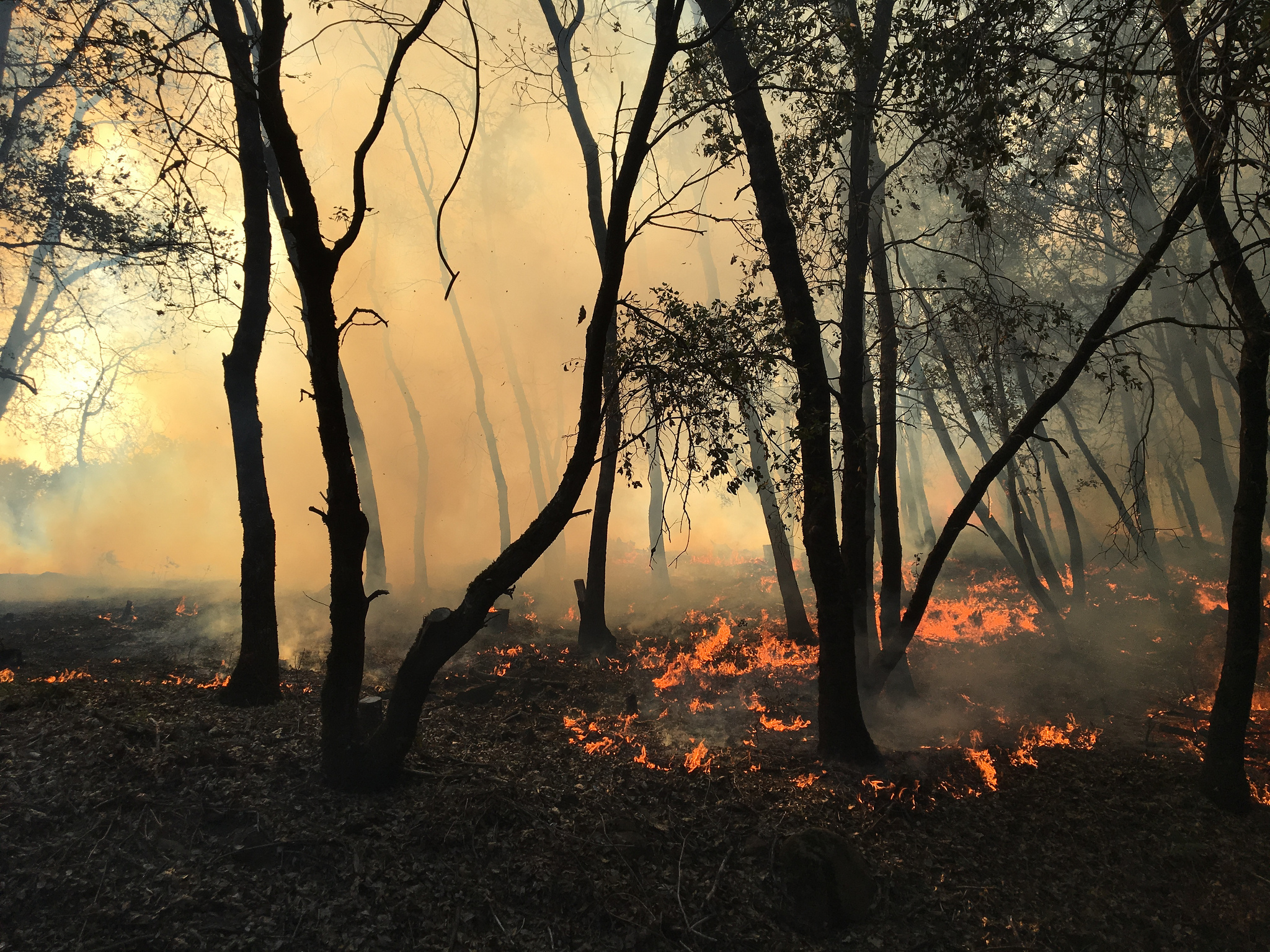 Free download high resolution image - free image free photo free stock image public domain picture -Butte County Rx Fire in the Redding Field