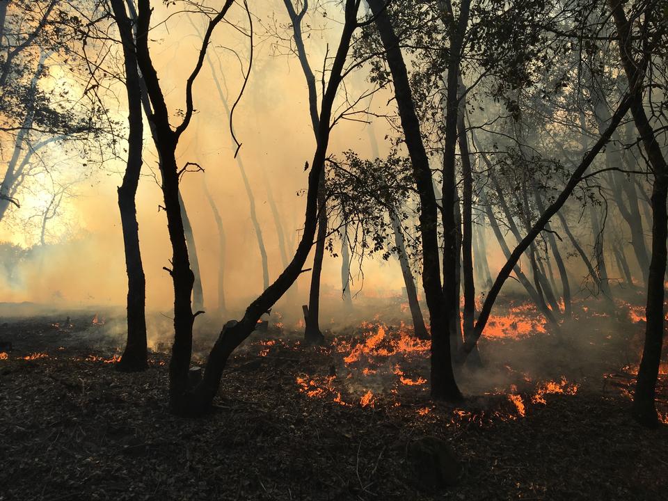 Free download high resolution image - free image free photo free stock image public domain picture  Butte County Rx Fire in the Redding Field