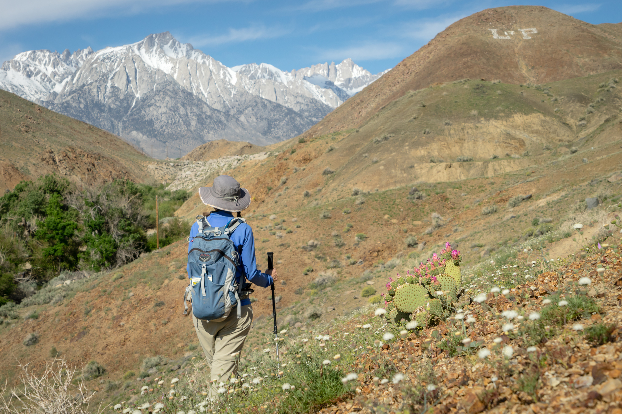 Free download high resolution image - free image free photo free stock image public domain picture -Afemale Hiker Alabama Hills National Scenic Area