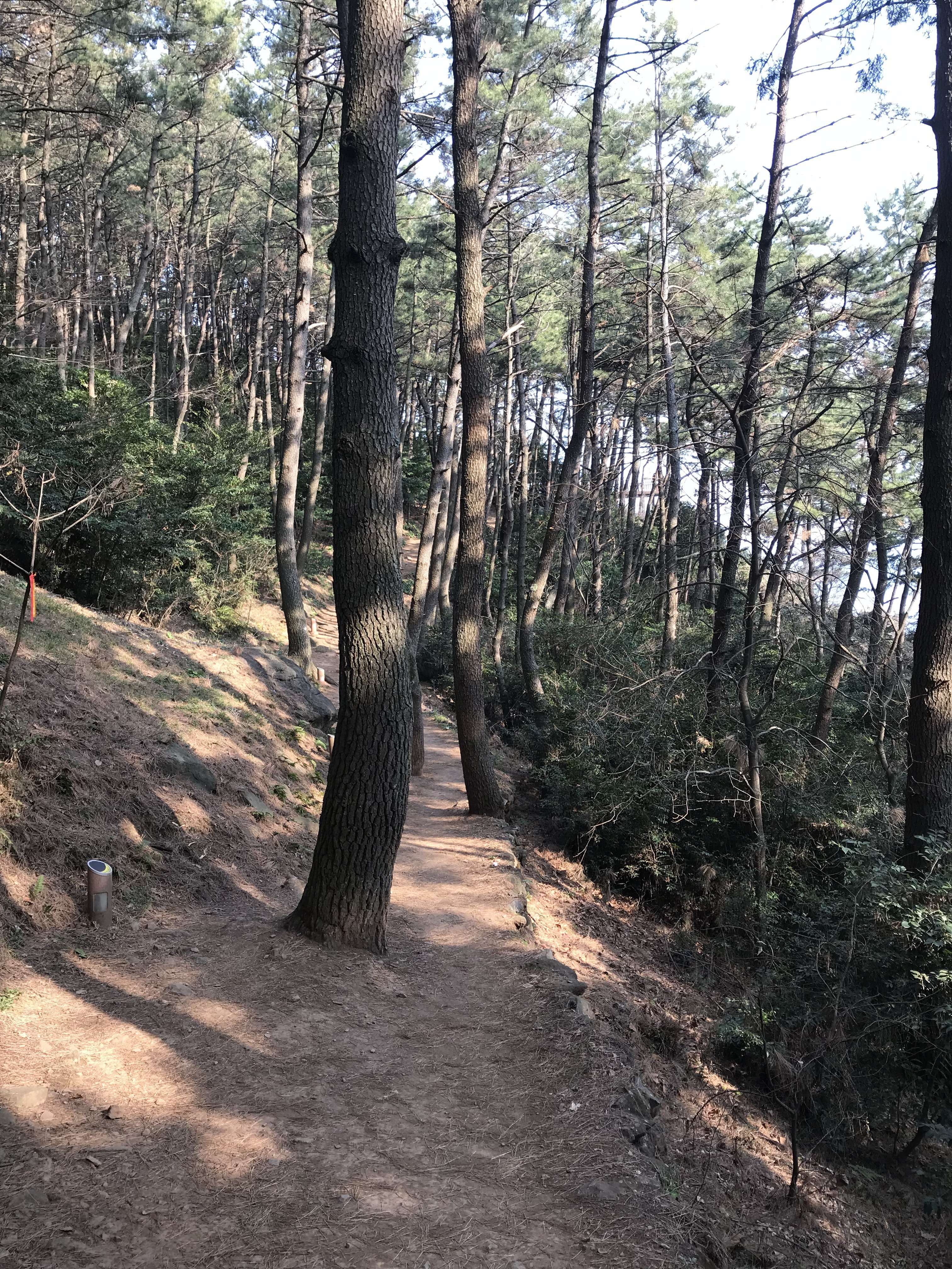 Free download high resolution image - free image free photo free stock image public domain picture -Haeundae Moontan Road Walk Trail