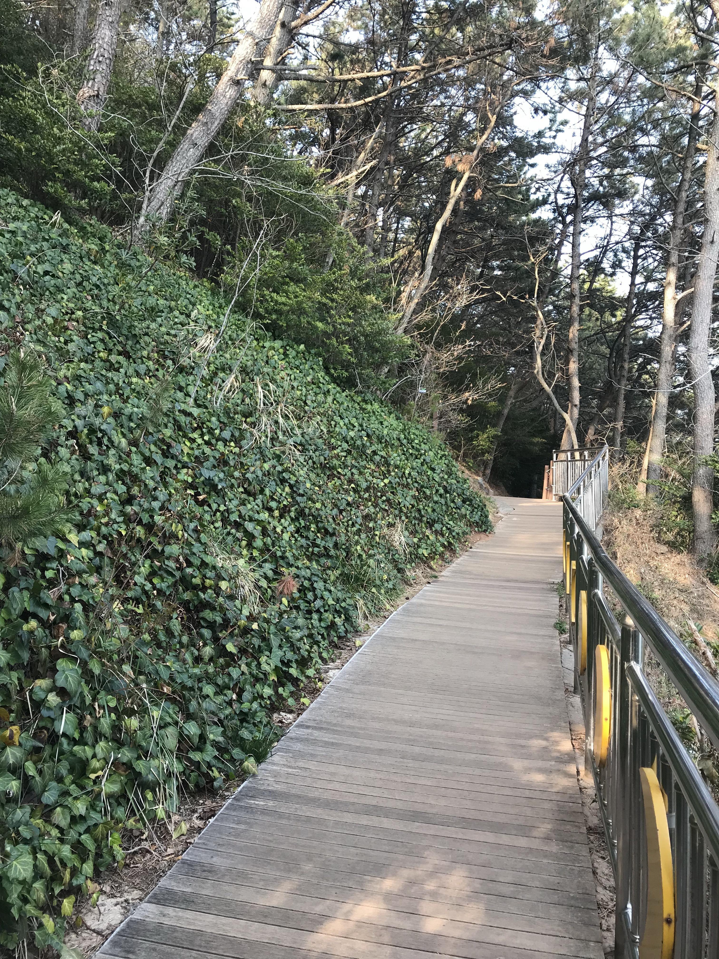 Free download high resolution image - free image free photo free stock image public domain picture -Haeundae Moontan Road Walk Trail