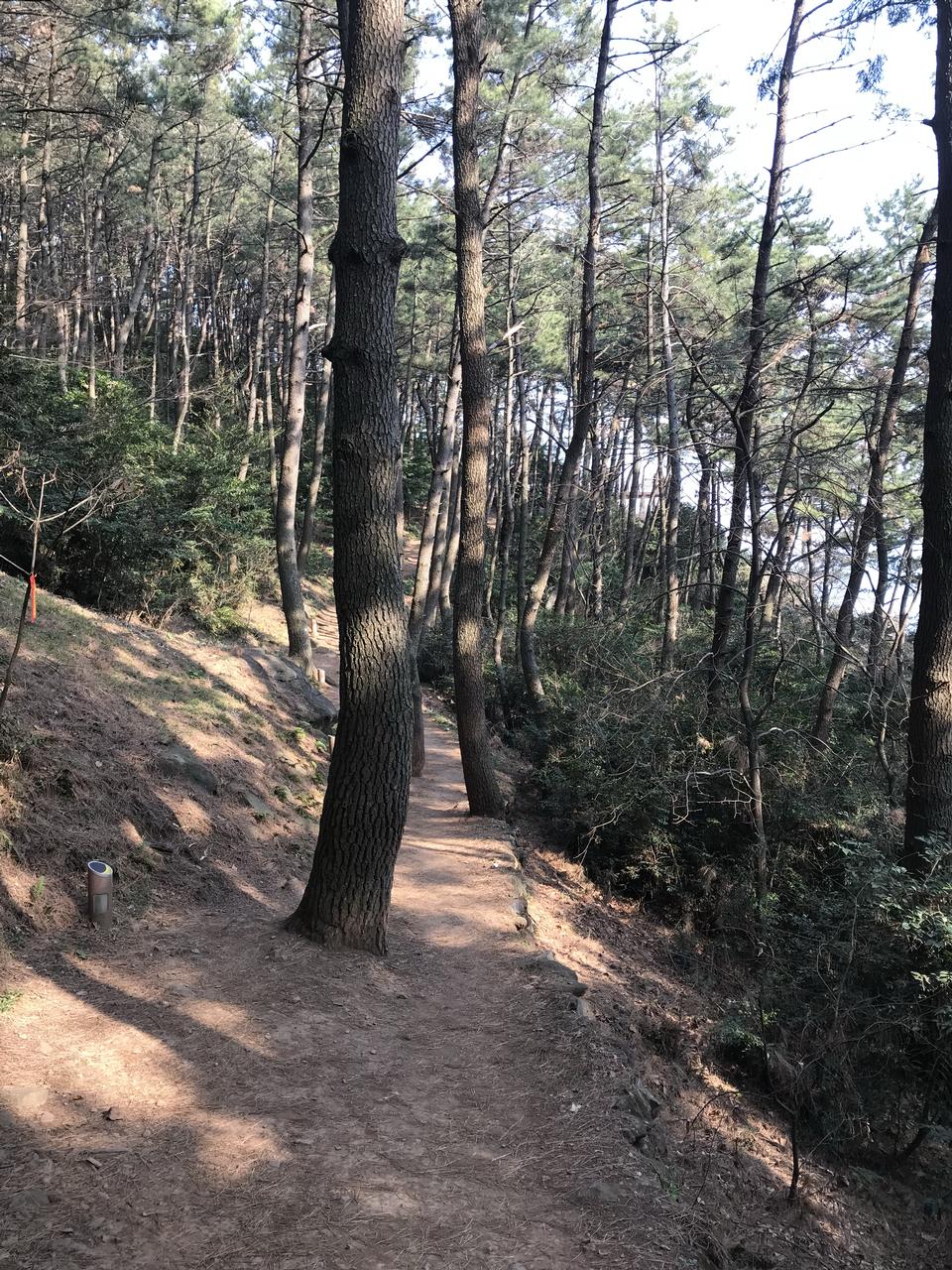 Free download high resolution image - free image free photo free stock image public domain picture  Haeundae Moontan Road Walk Trail