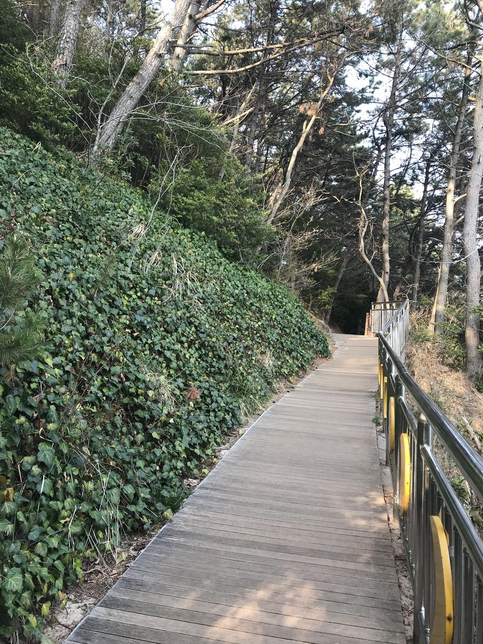 Free download high resolution image - free image free photo free stock image public domain picture  Haeundae Moontan Road Walk Trail