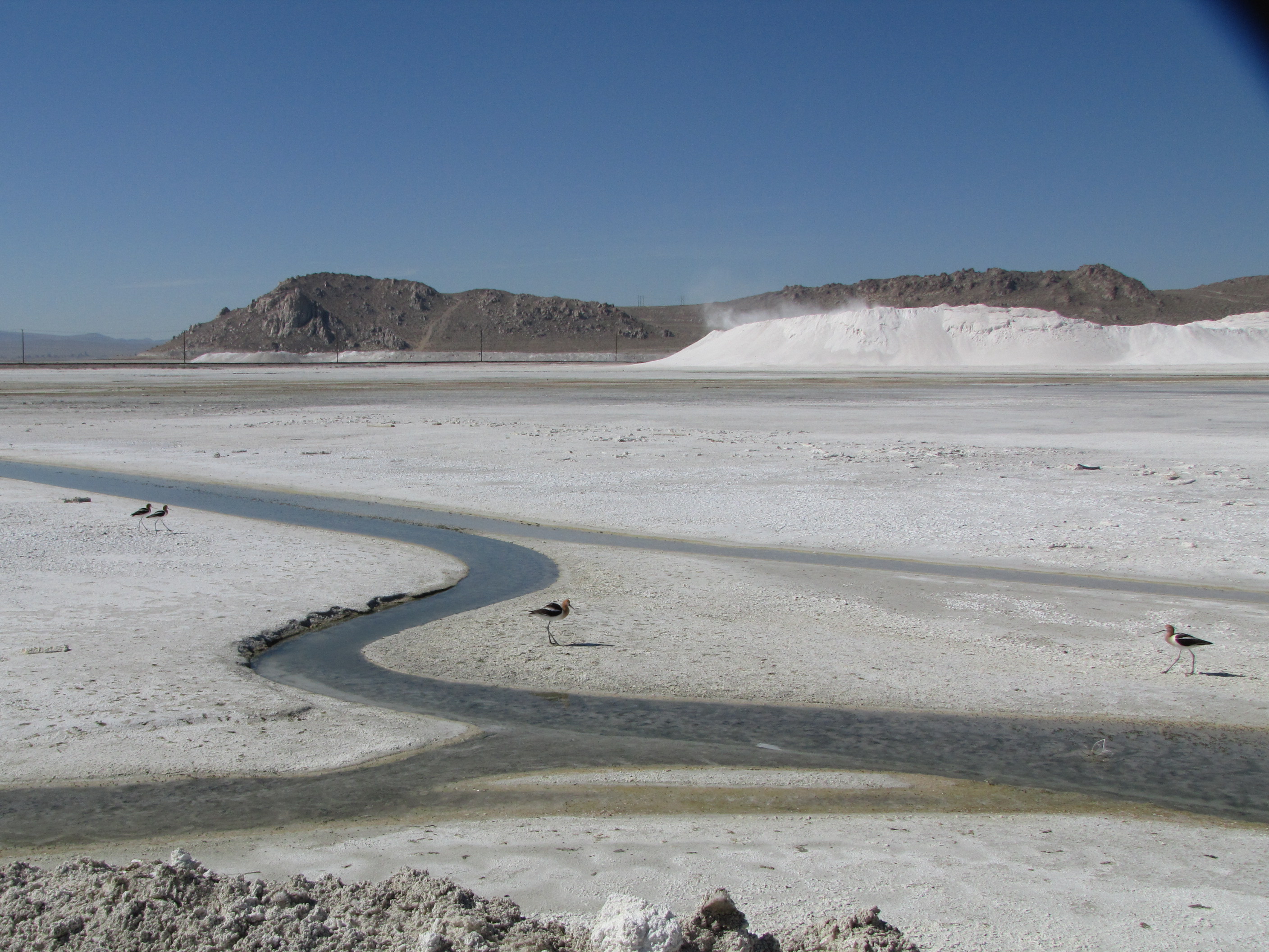 Free download high resolution image - free image free photo free stock image public domain picture -Searles minerals in the Ridgecrest Field