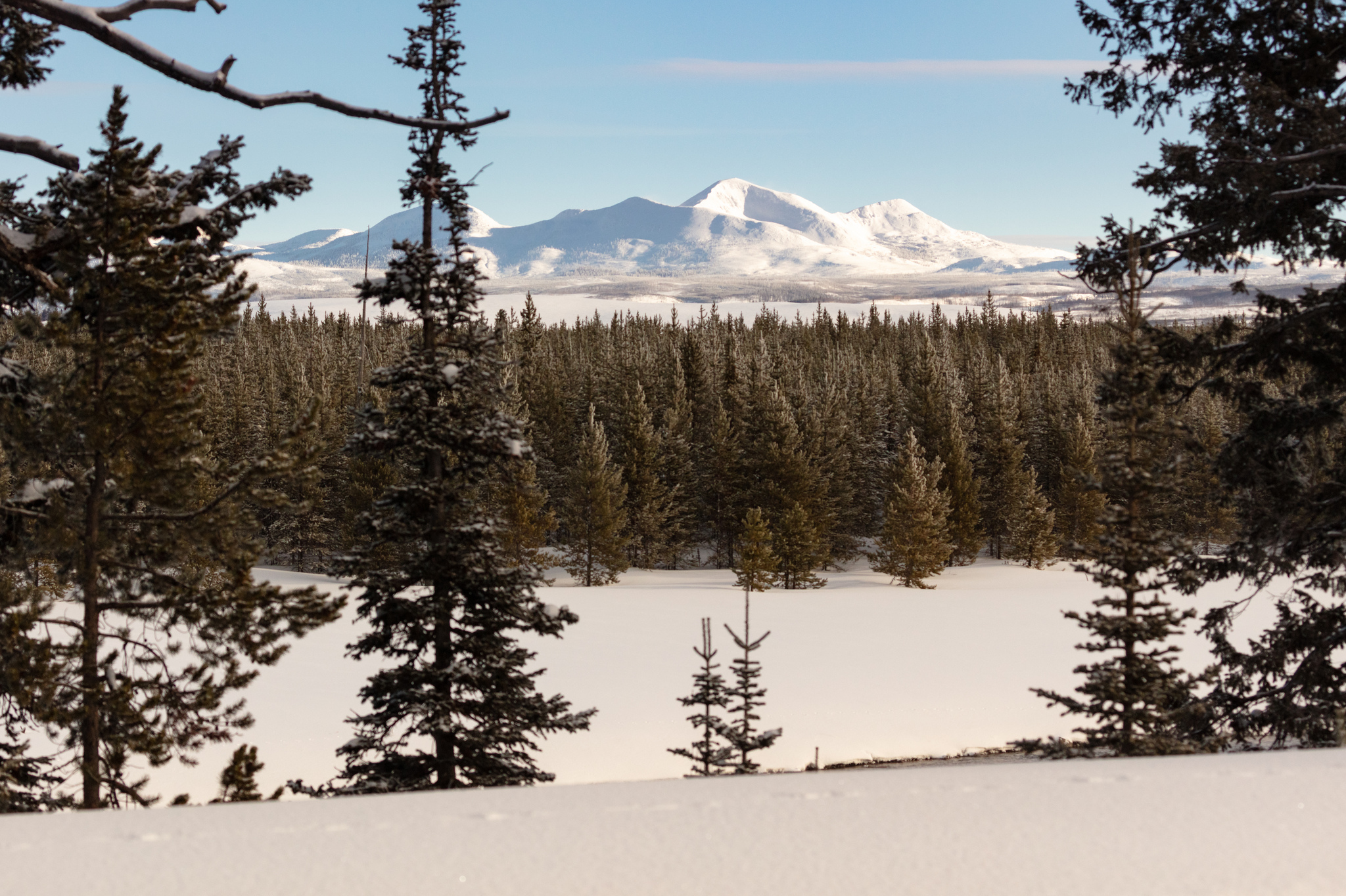 Free download high resolution image - free image free photo free stock image public domain picture -Mt. Holmes viewed along the Madison River