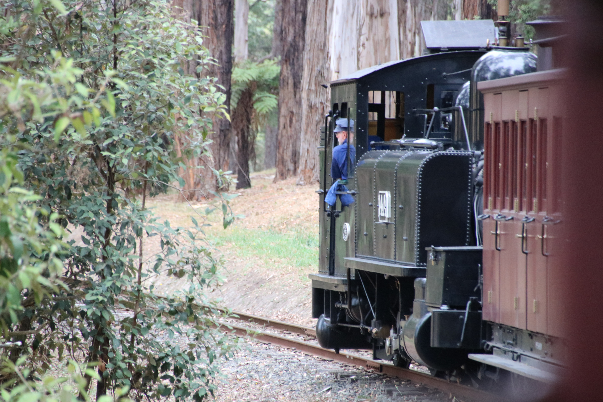 Free download high resolution image - free image free photo free stock image public domain picture -Puffing Billy steam locomotive