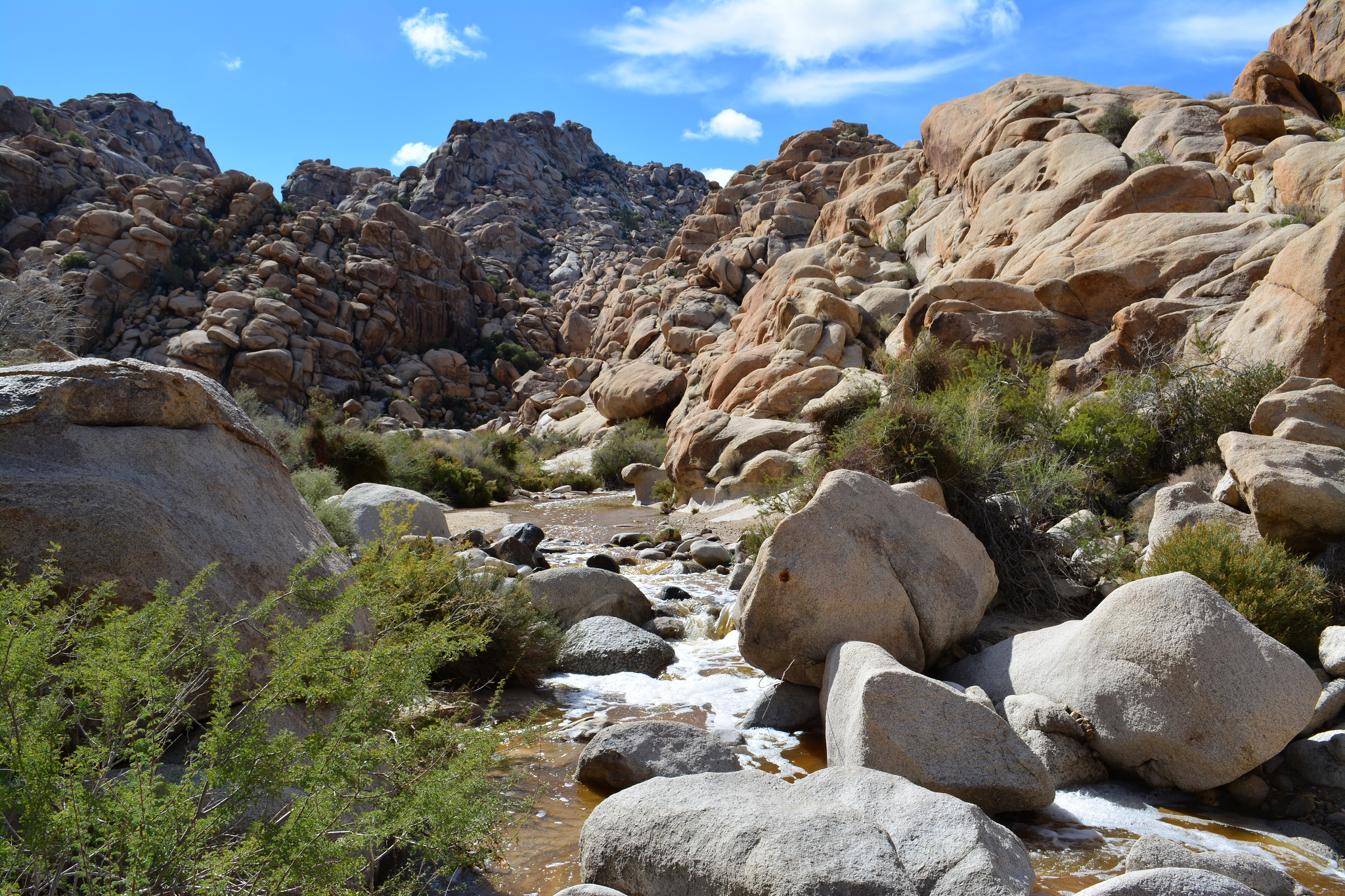 Free download high resolution image - free image free photo free stock image public domain picture -Water in Rattlesnake Canyon  in Joshua Tree National Park