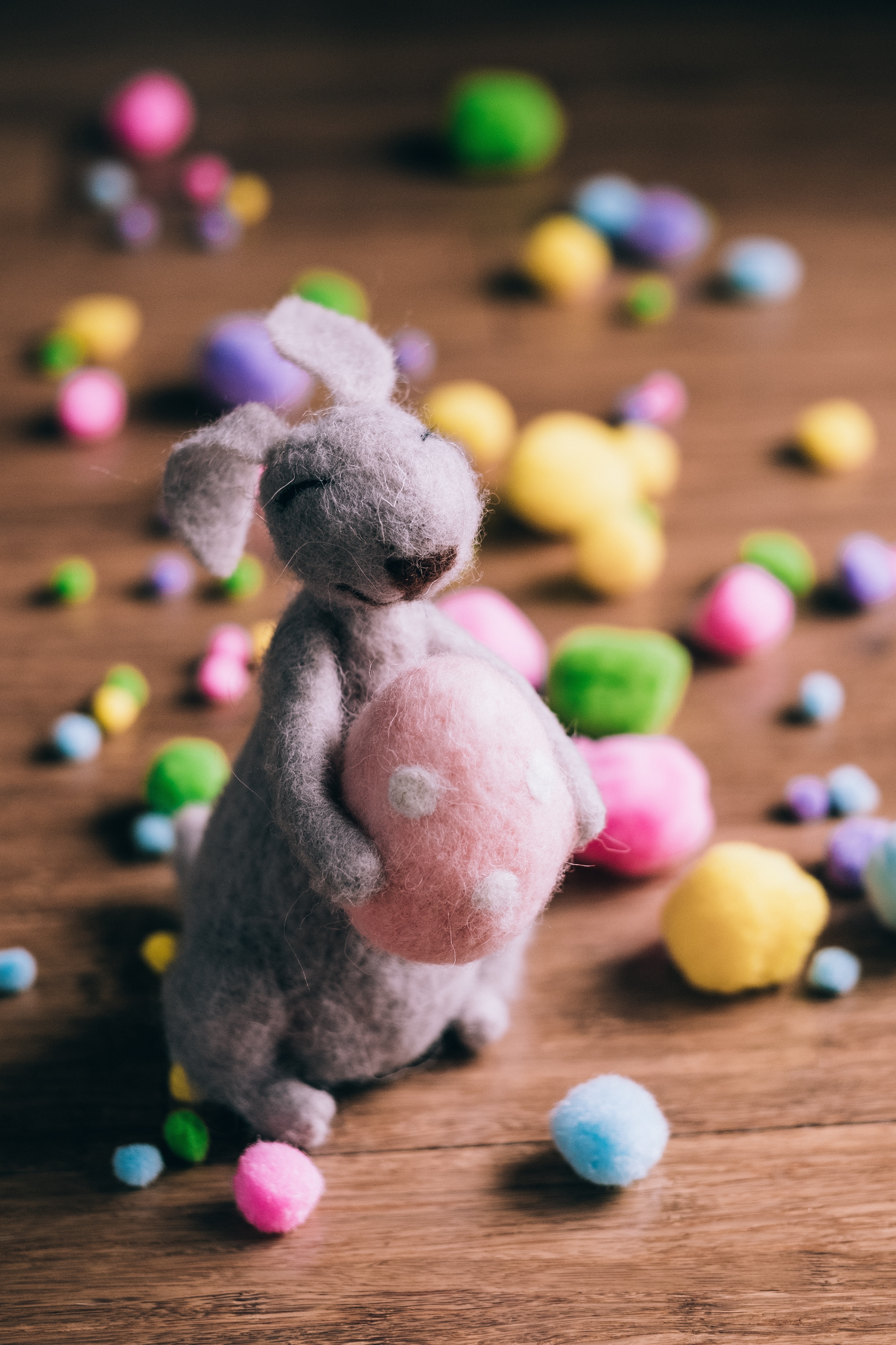 Free download high resolution image - free image free photo free stock image public domain picture -easter