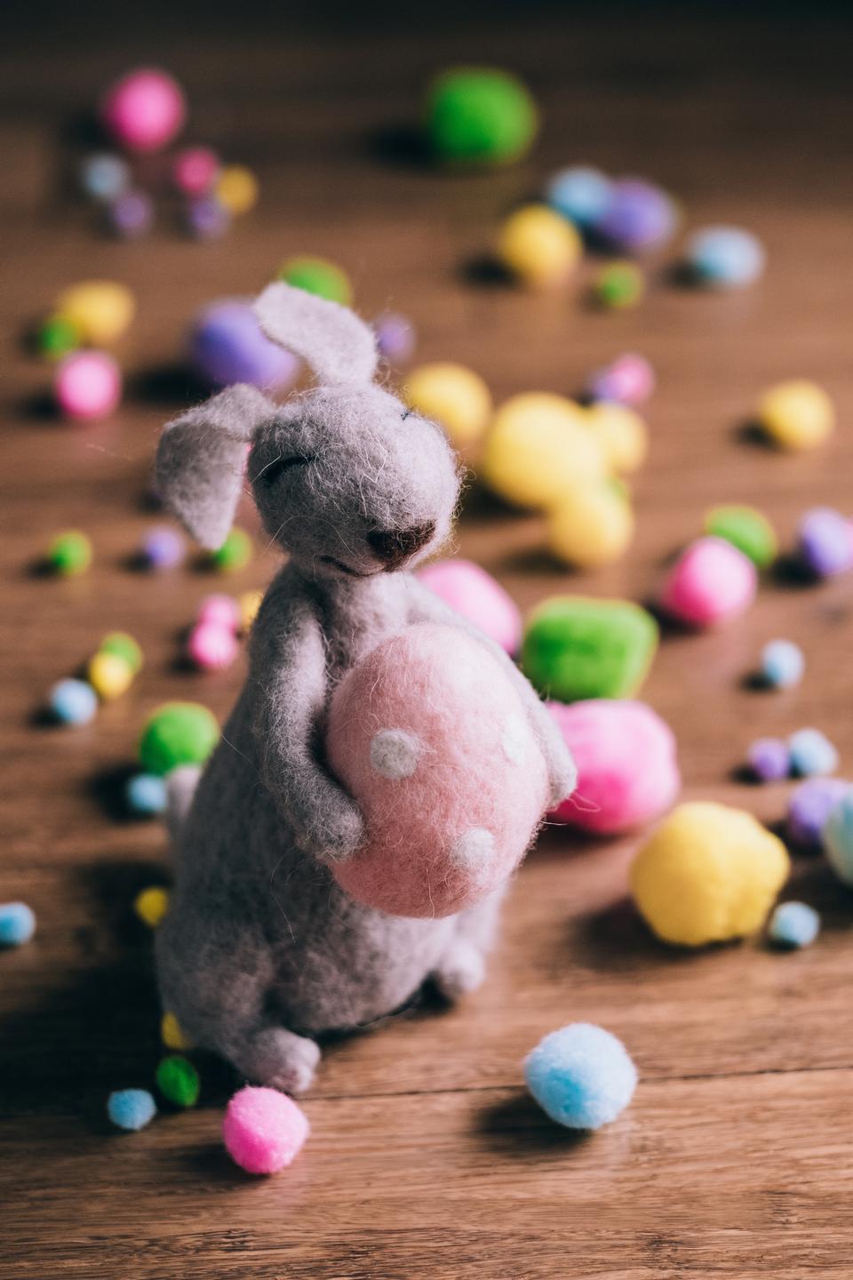 Free download high resolution image - free image free photo free stock image public domain picture  easter