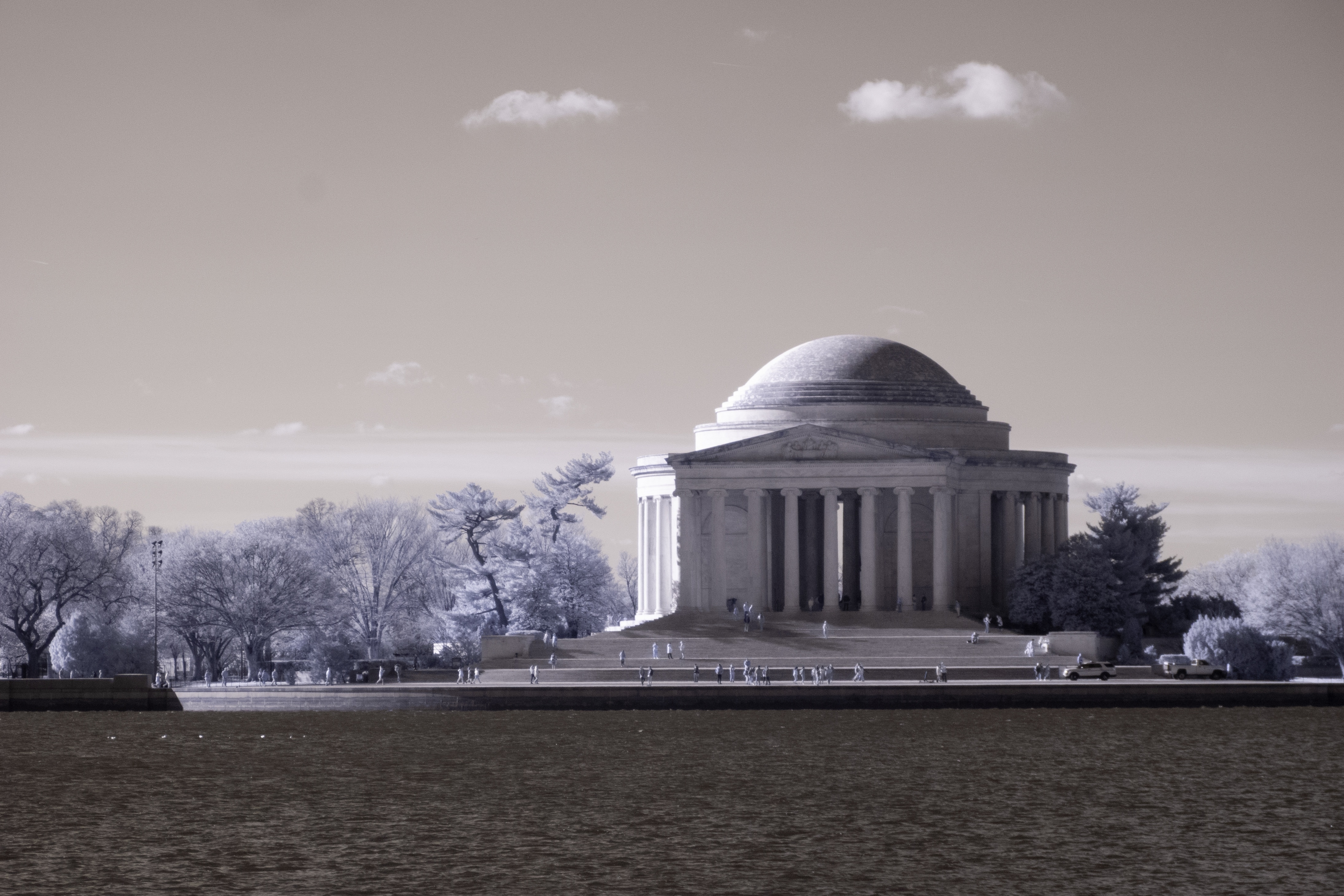 Free download high resolution image - free image free photo free stock image public domain picture -Cherry blossoms near the Tidal Basin