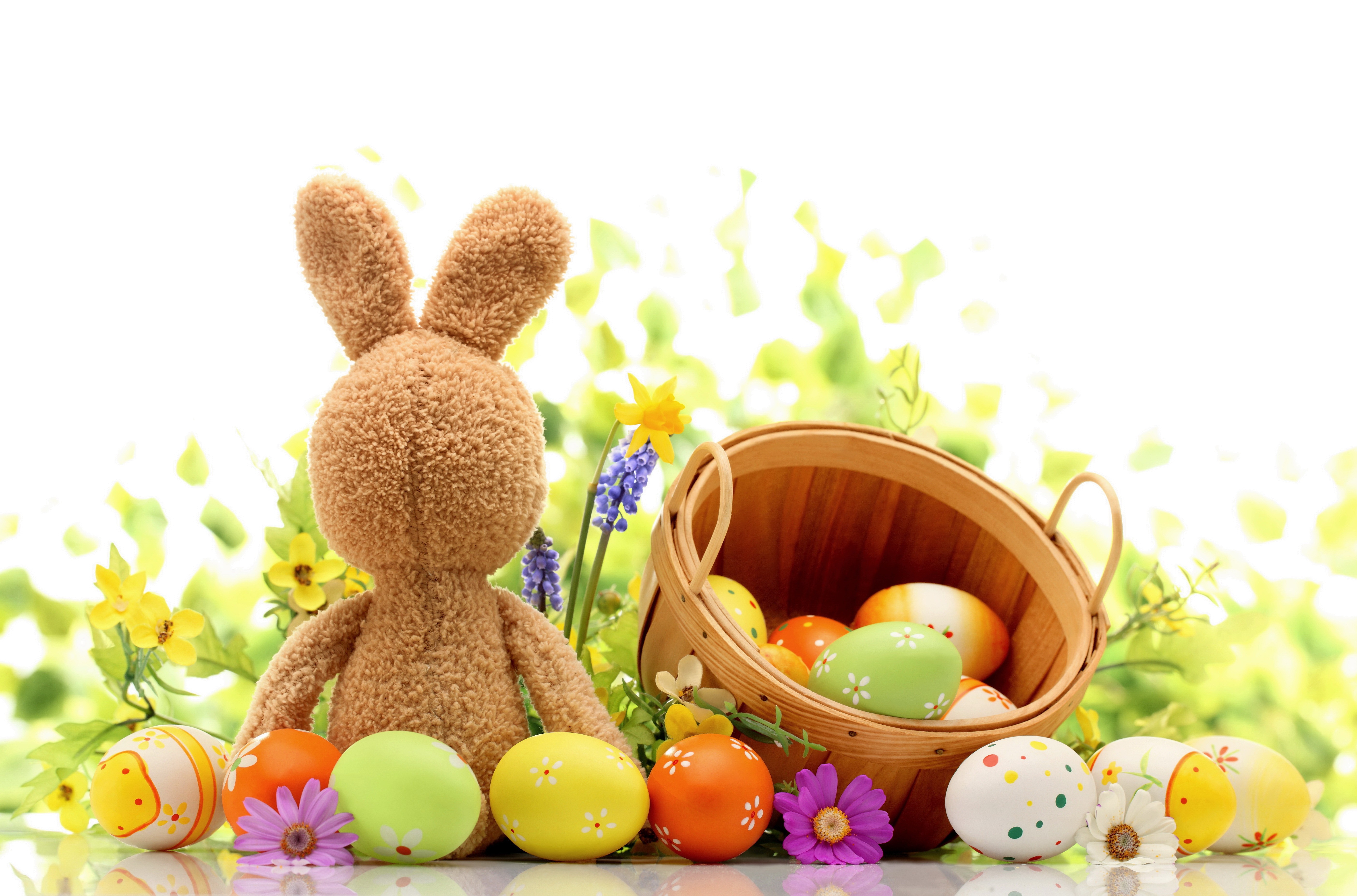 Free download high resolution image - free image free photo free stock image public domain picture -easter