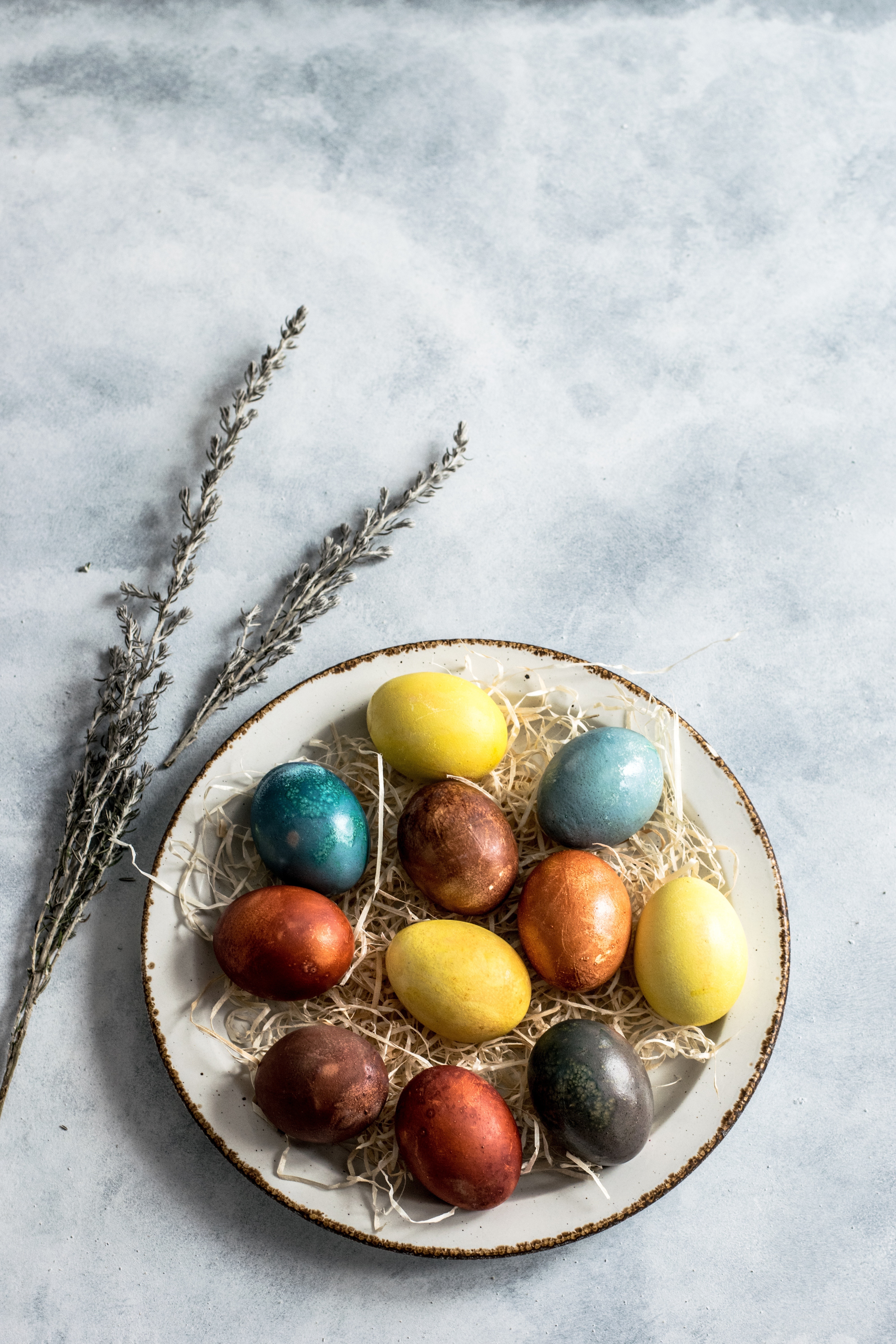 Free download high resolution image - free image free photo free stock image public domain picture -easter