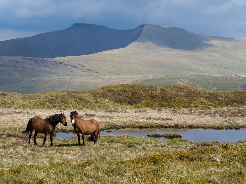 Free download high resolution image - free image free photo free stock image public domain picture  Brecon Beacons National Park