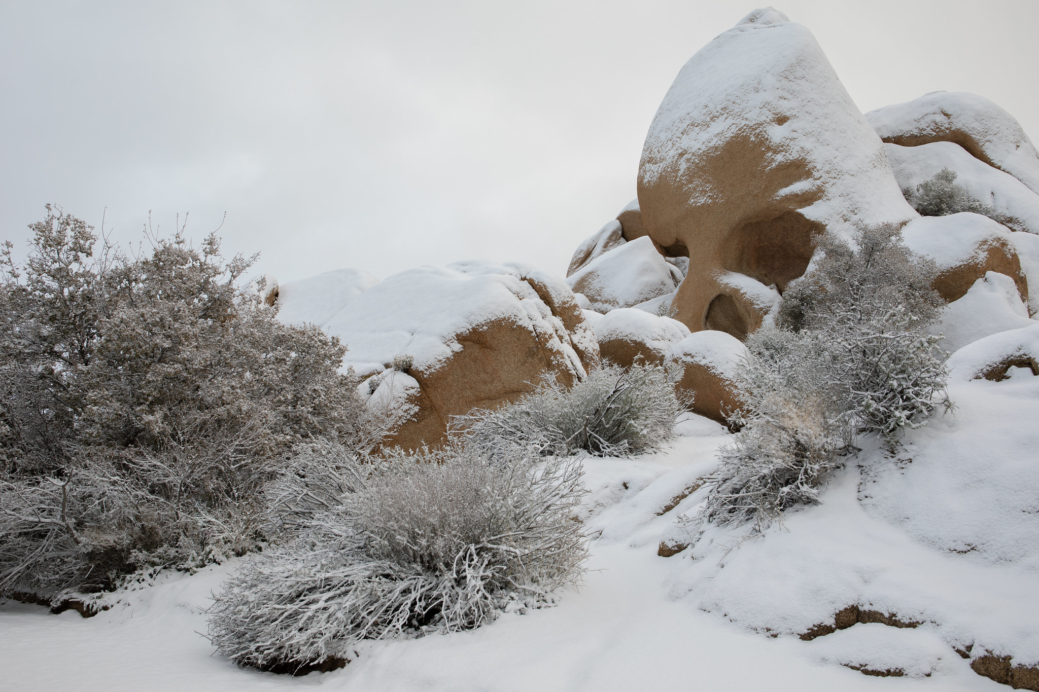 Free download high resolution image - free image free photo free stock image public domain picture -Skull Rock and Snow