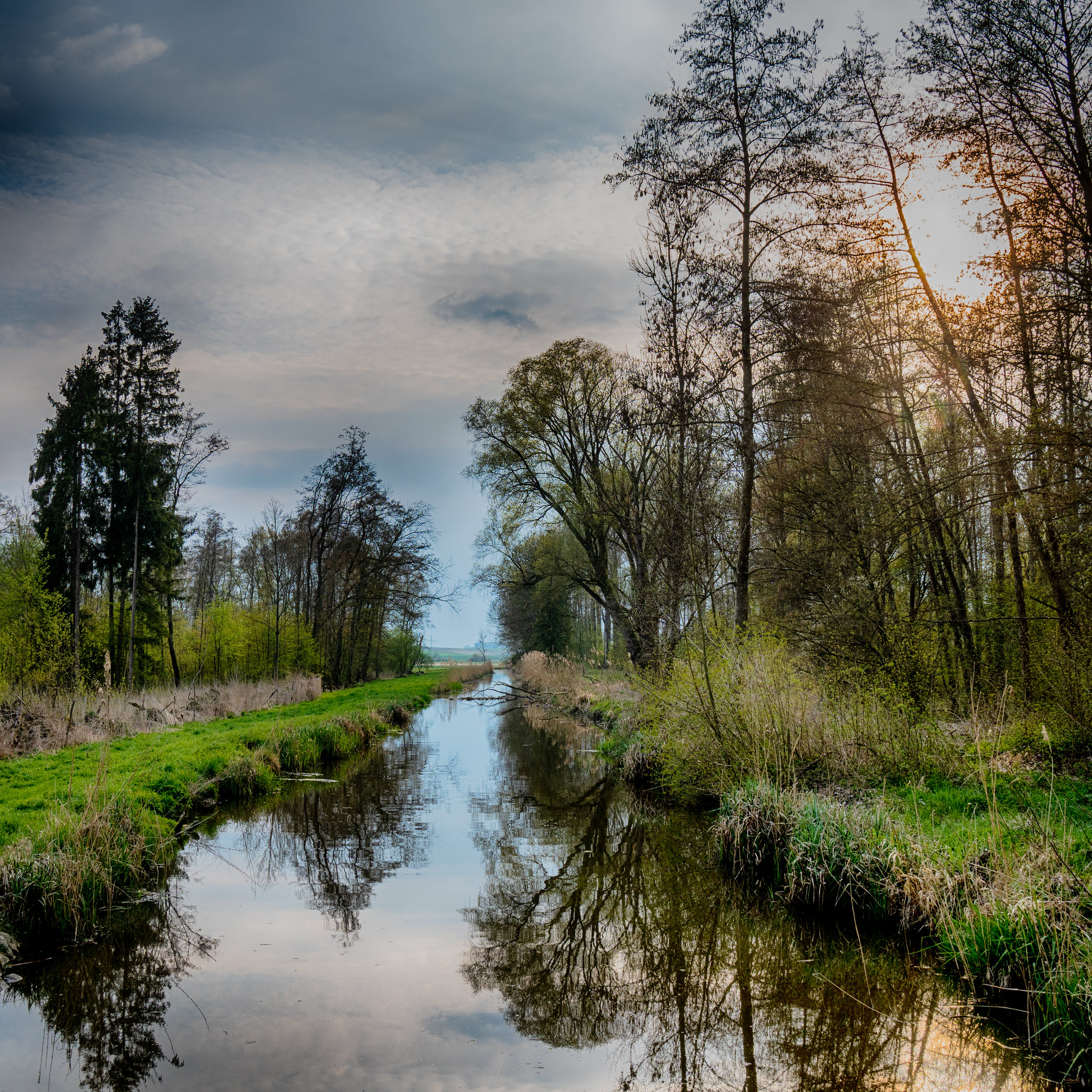 Free download high resolution image - free image free photo free stock image public domain picture -spring landscape