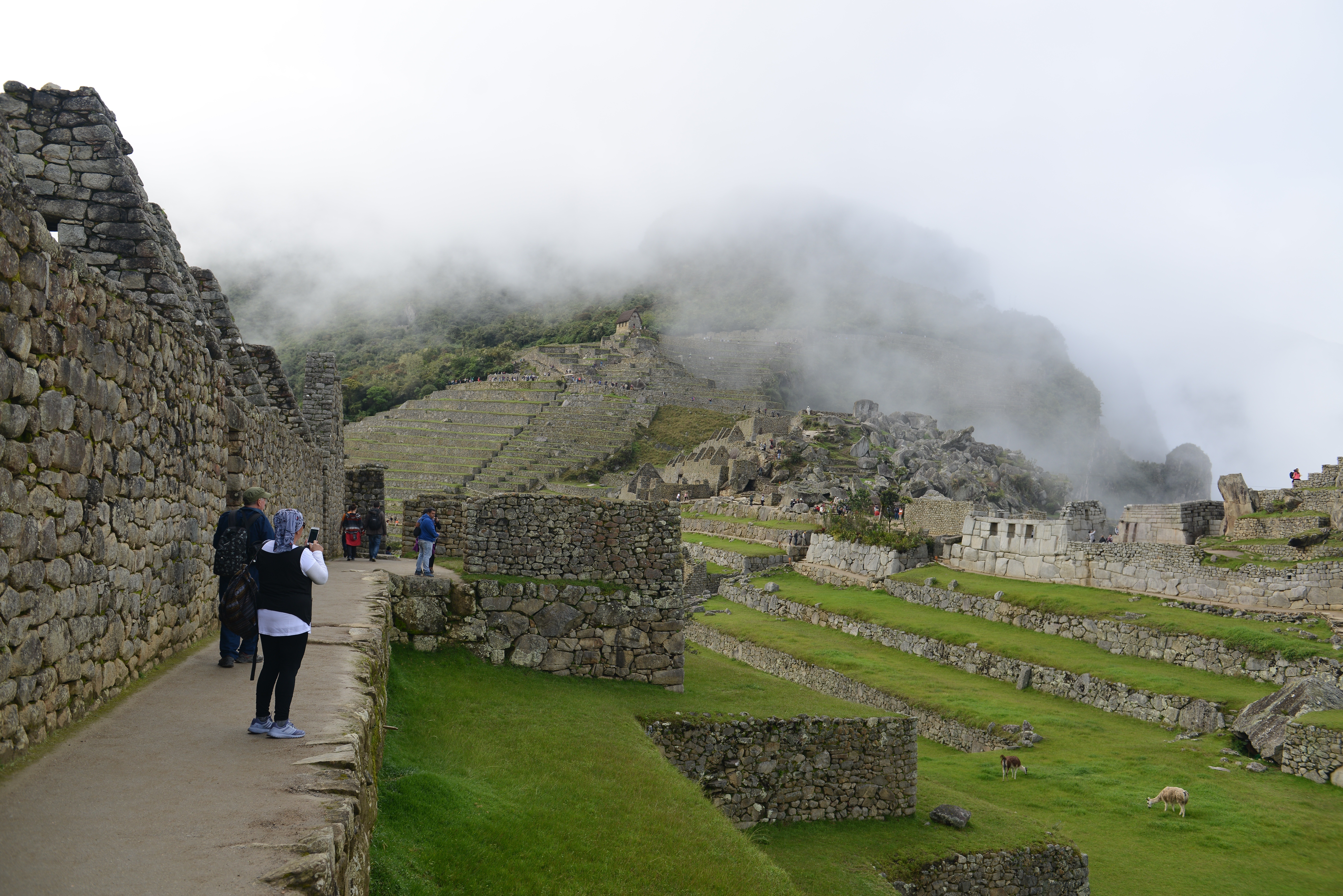 Free download high resolution image - free image free photo free stock image public domain picture -Machu Picchu is a UNESCO World Heritage Site in Peru