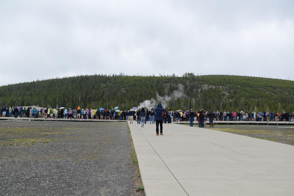 Free download high resolution image - free image free photo free stock image public domain picture  Old Faithful Geyser Eruption in Yellowstone National Park