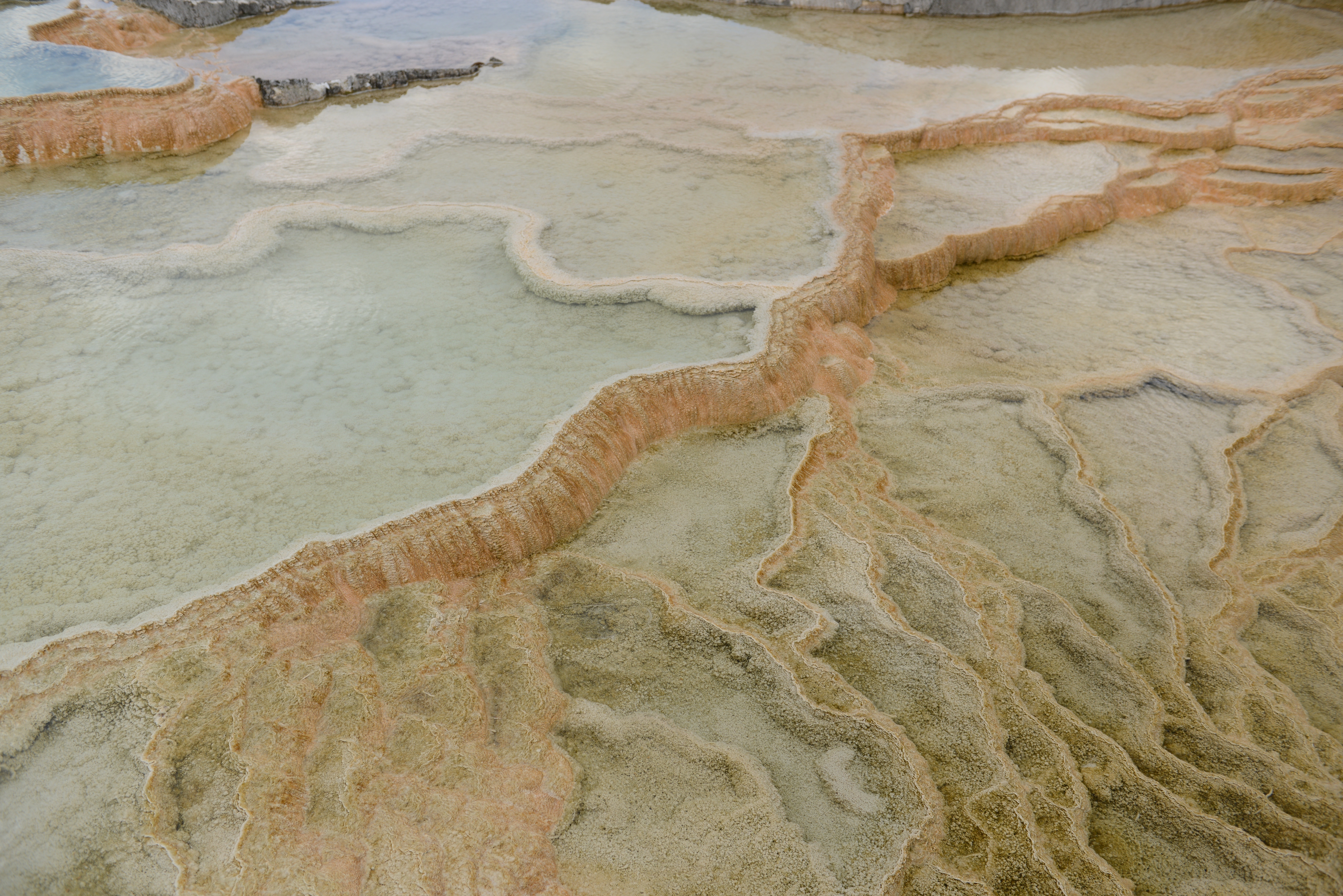 Free download high resolution image - free image free photo free stock image public domain picture -Minerva Terrace, Yellowstone National Park, Wyoming, USA