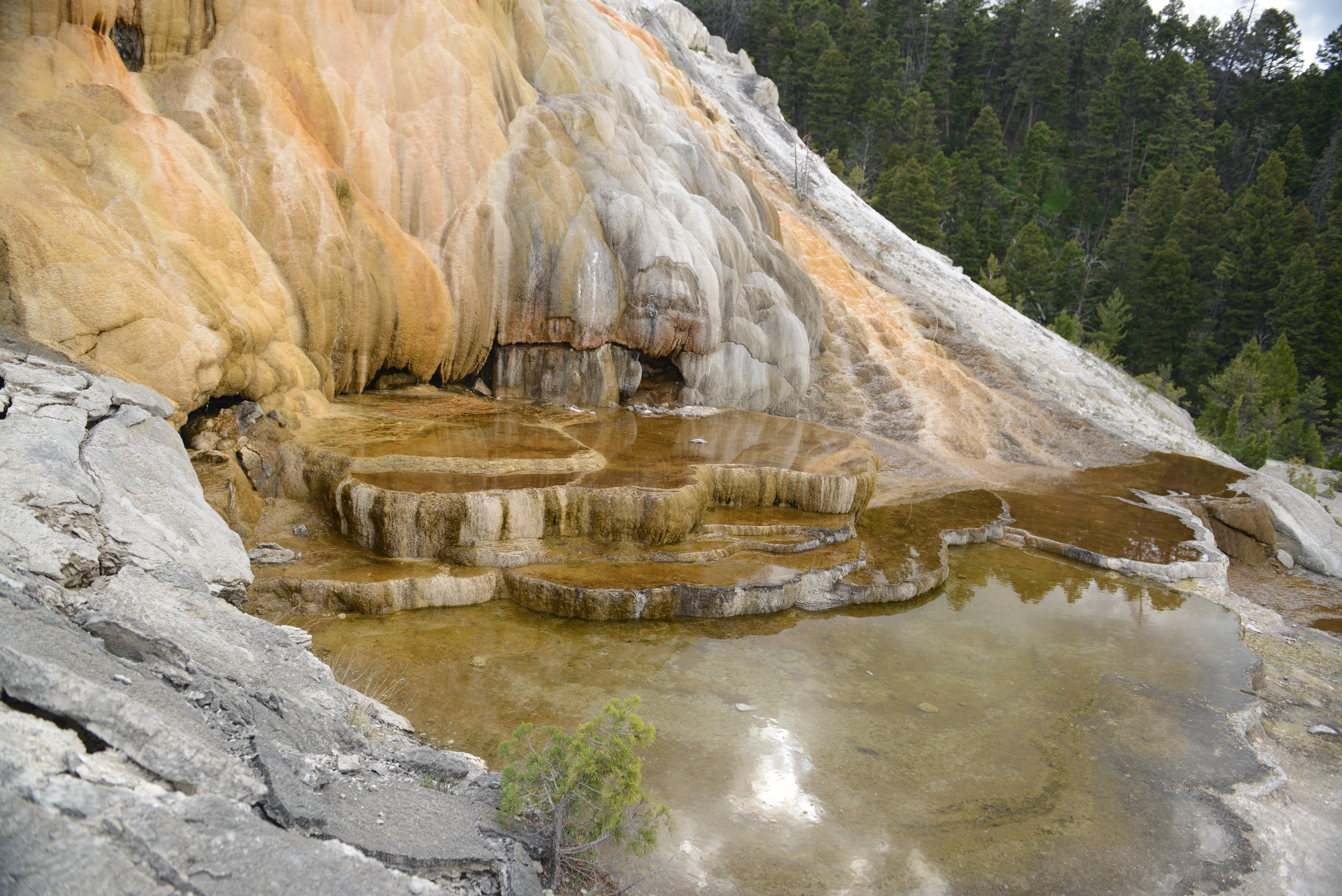 Free download high resolution image - free image free photo free stock image public domain picture -Minerva Terrace, Yellowstone National Park, Wyoming, USA